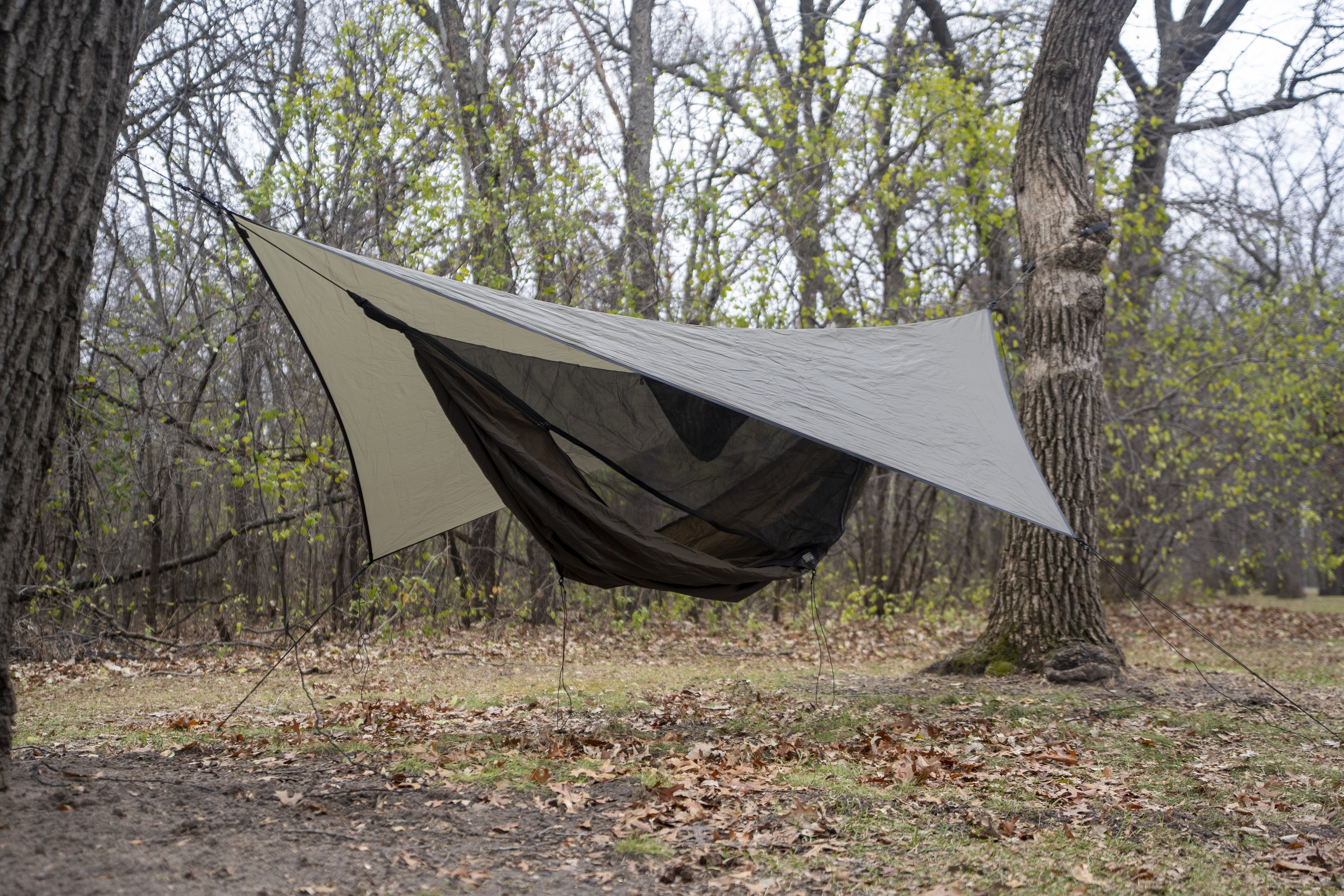 a hammock and tarp hang in a forest clearing