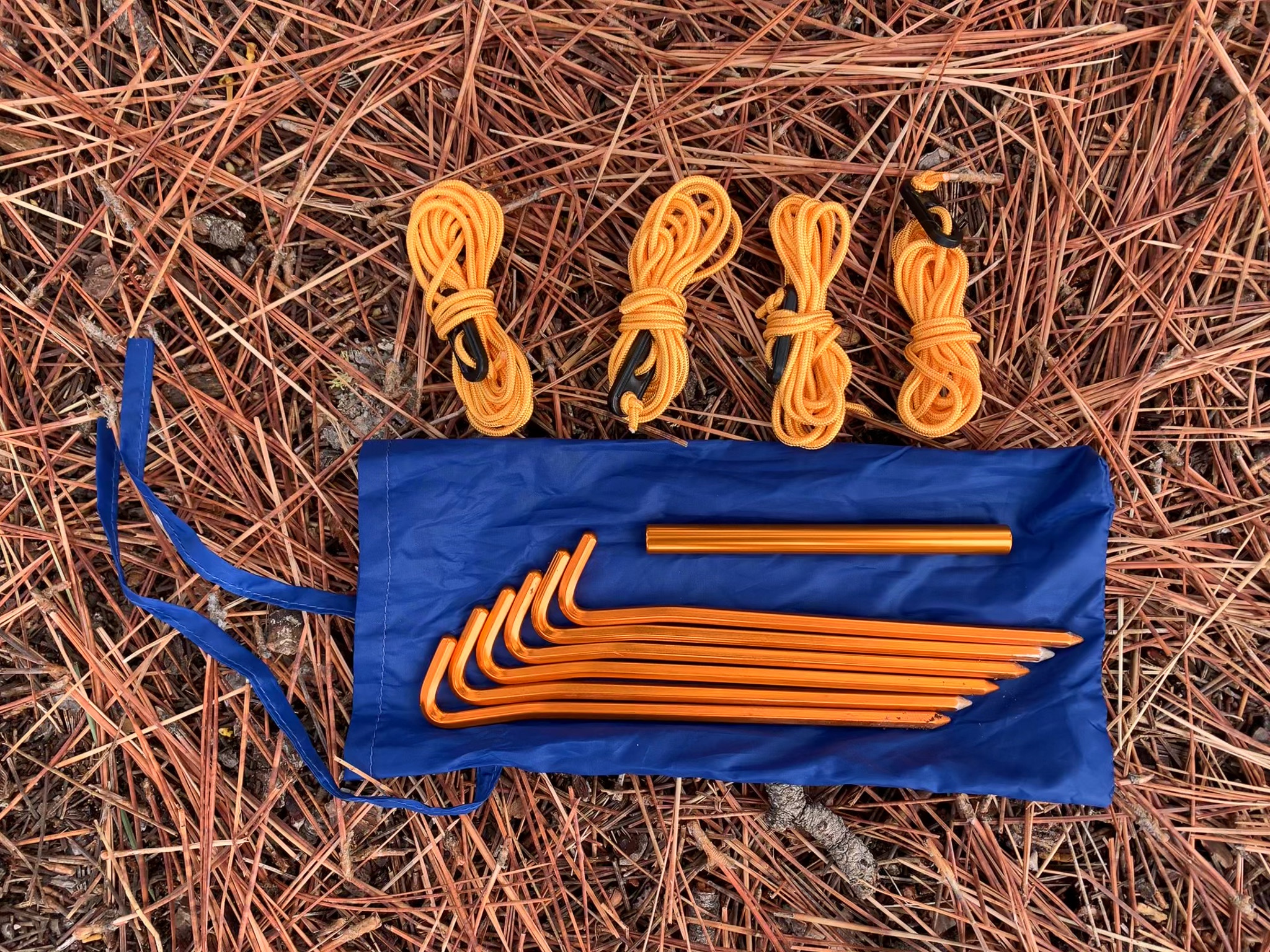 A closeup of the orange aluminum stakes, rolled up guy lines, and carrying bag included with the Marmot Tungsten 2, laid out on a bed of pine needles.