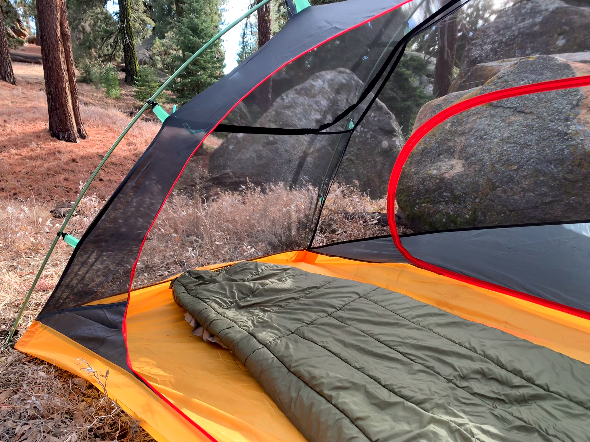 Interior view of the inner tent showing bathtub floor, part of the opposite door and roof panel. Surrounding forest in the background.