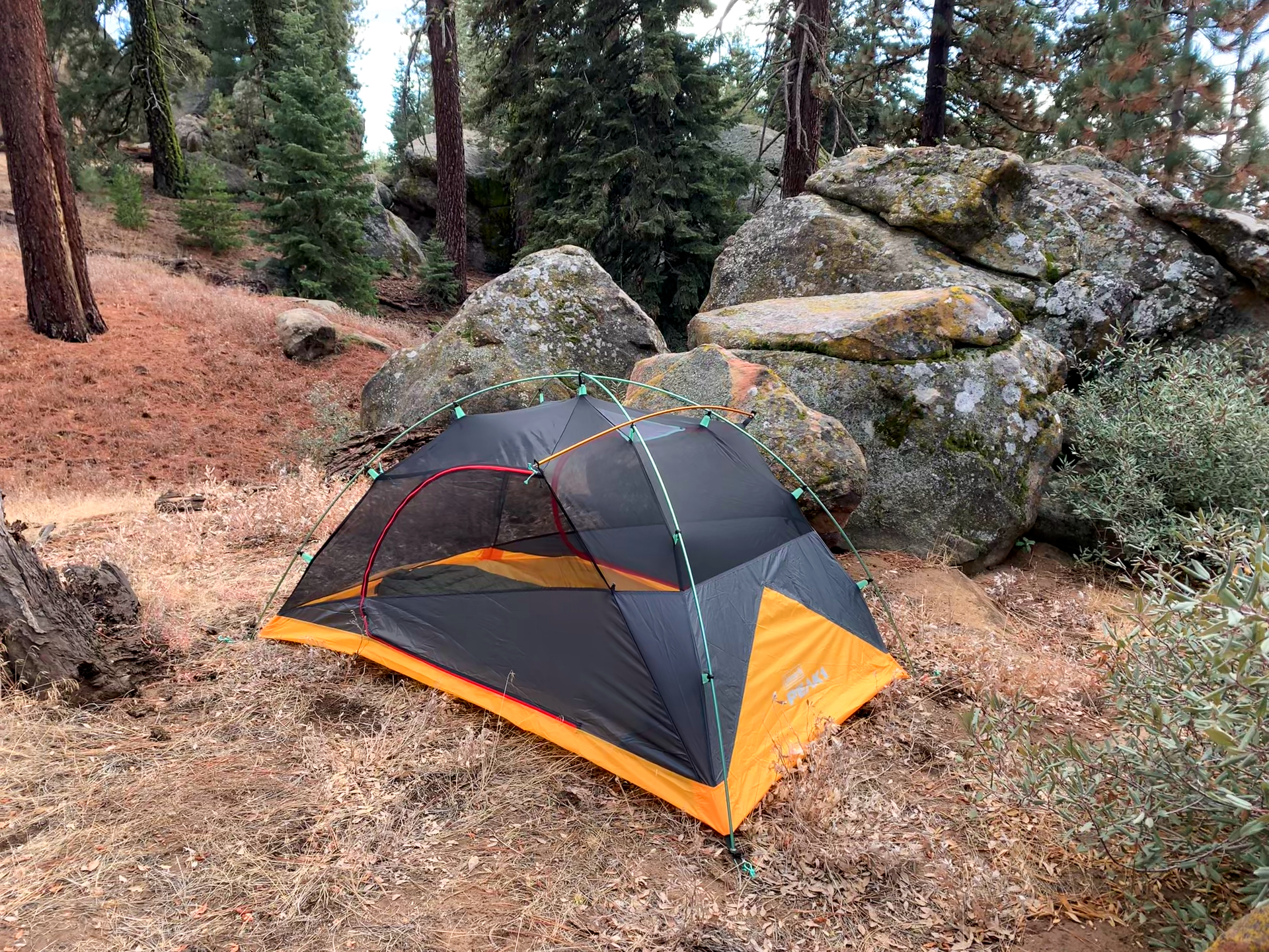 Three-quarter view of the Coleman Peak 1 with rainfly removed so it's just the inner mesh tent. Close by is a boulder and surrounding forest.