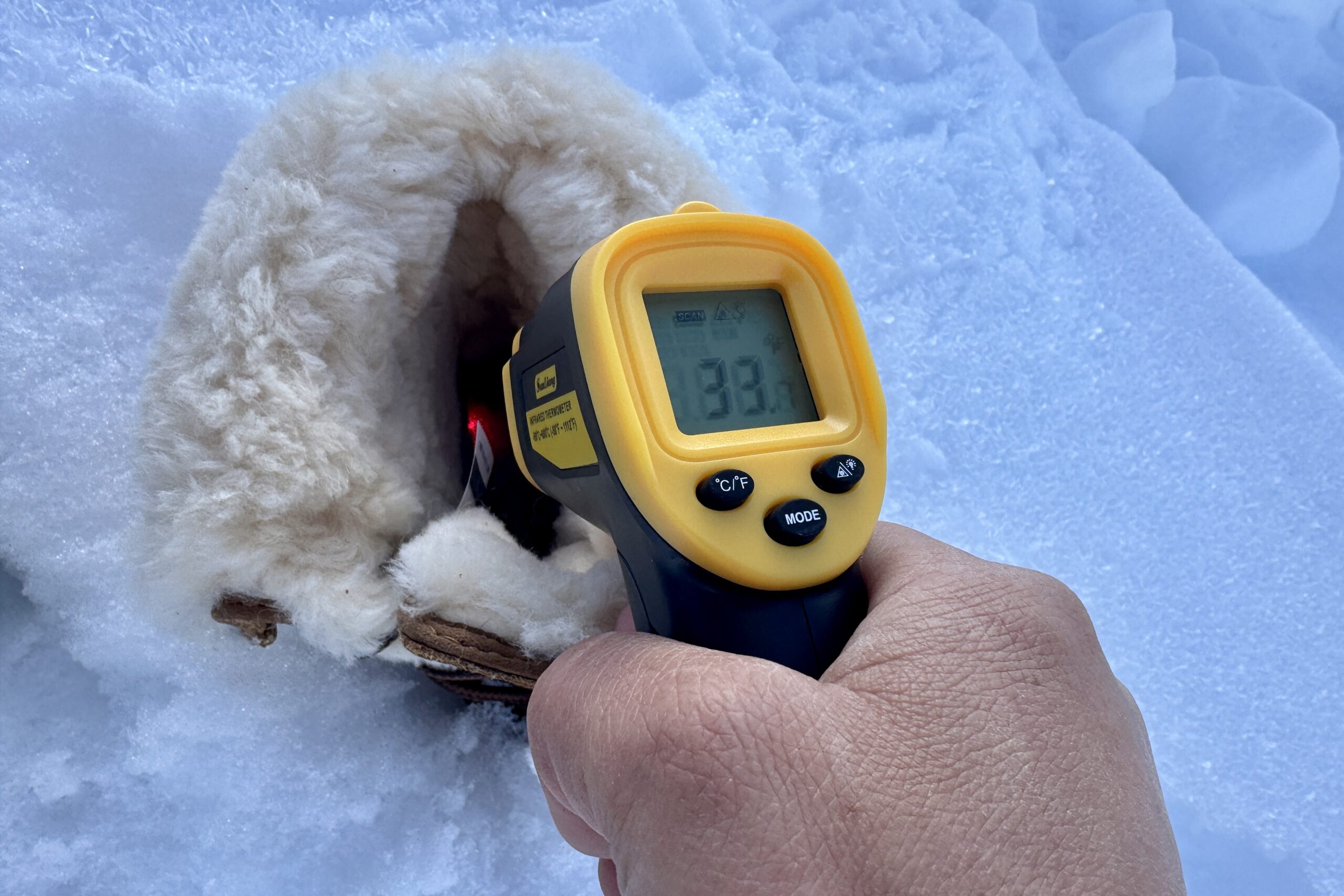 Close up of a hand pointing a laser thermometer into the UGG boot which is sitting in the snow.