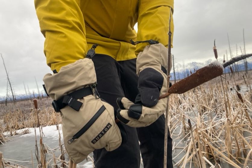 A man grabs a cat tail wearing winter gloves