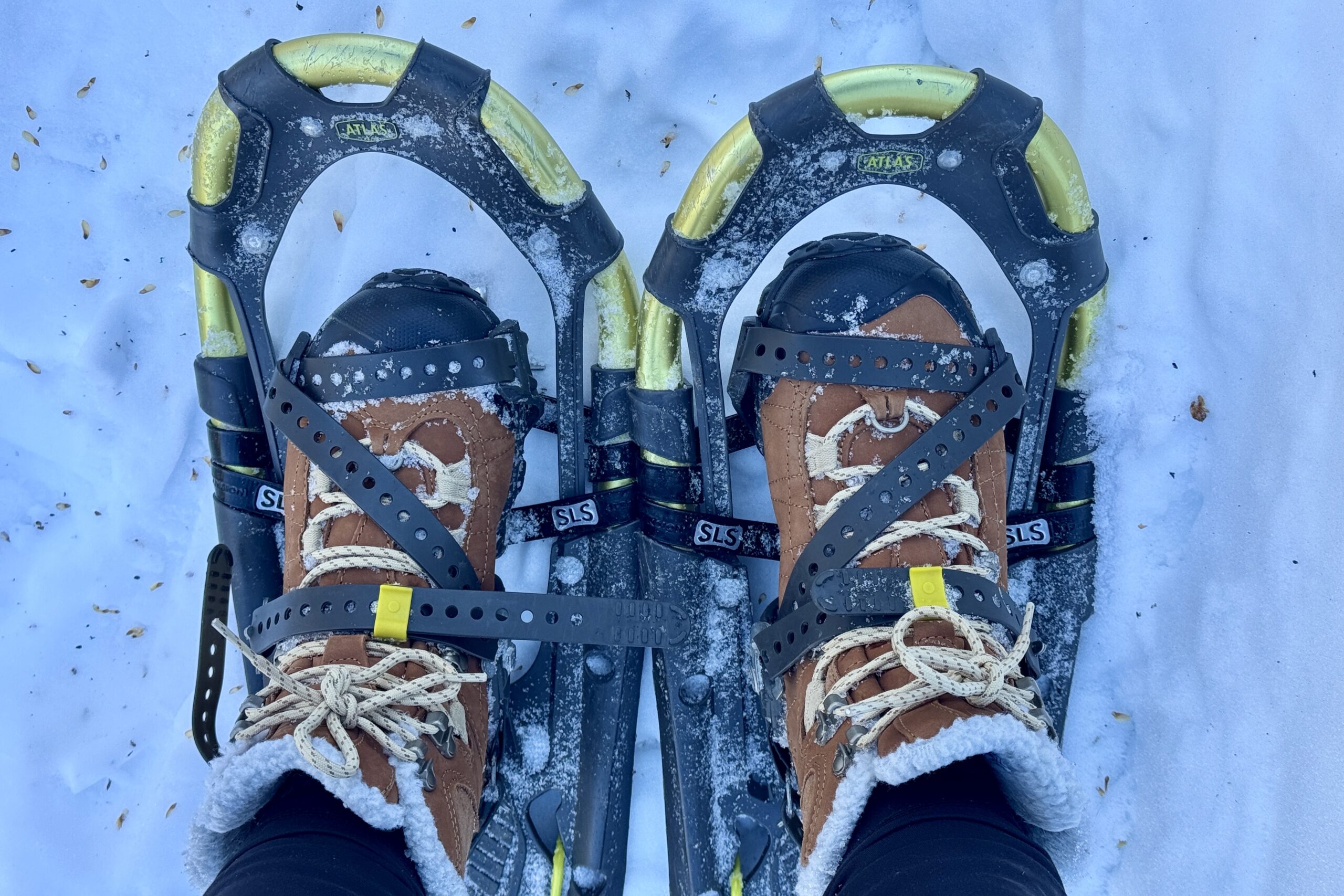 An aerial view of the Bridger boots being used with some snowshoes.