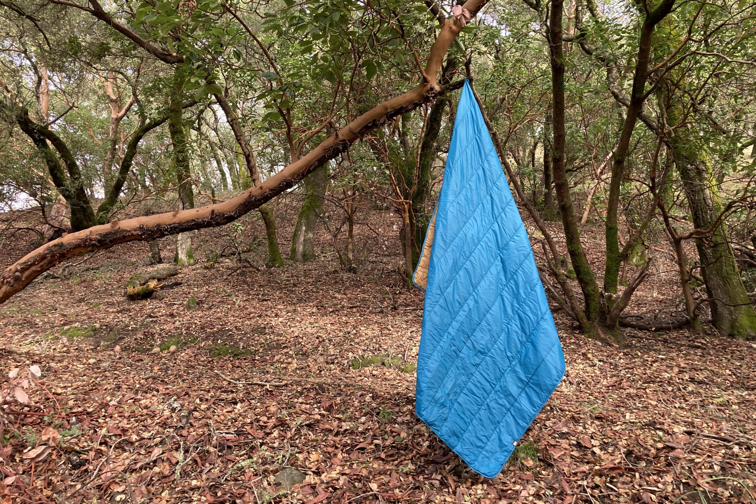 The REI camp blanket hanging from a tree branch by its corner loop.