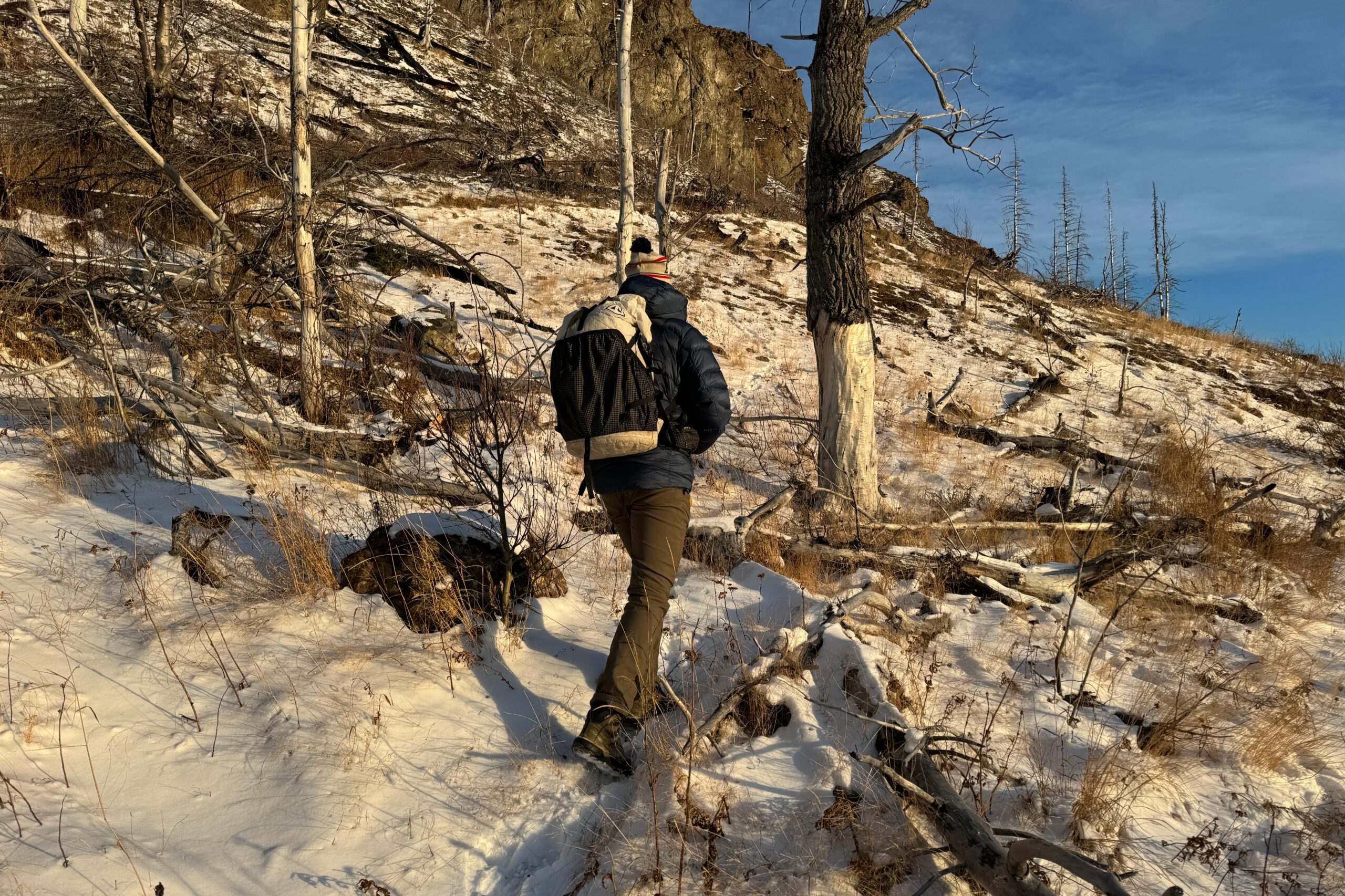 A man walks through an open forest with light now on the ground.