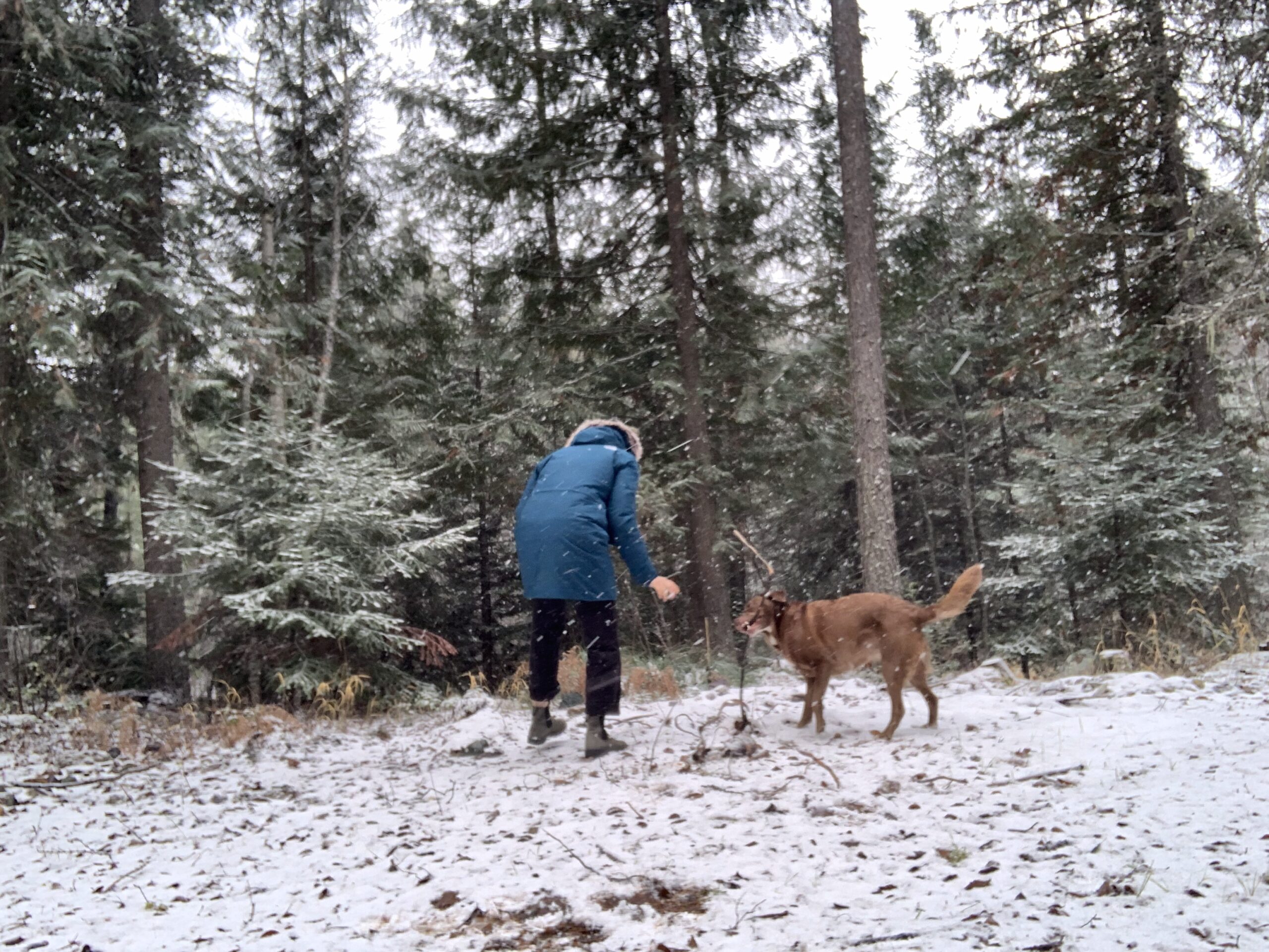 a woman playing with her dog while it snows in the late fall.