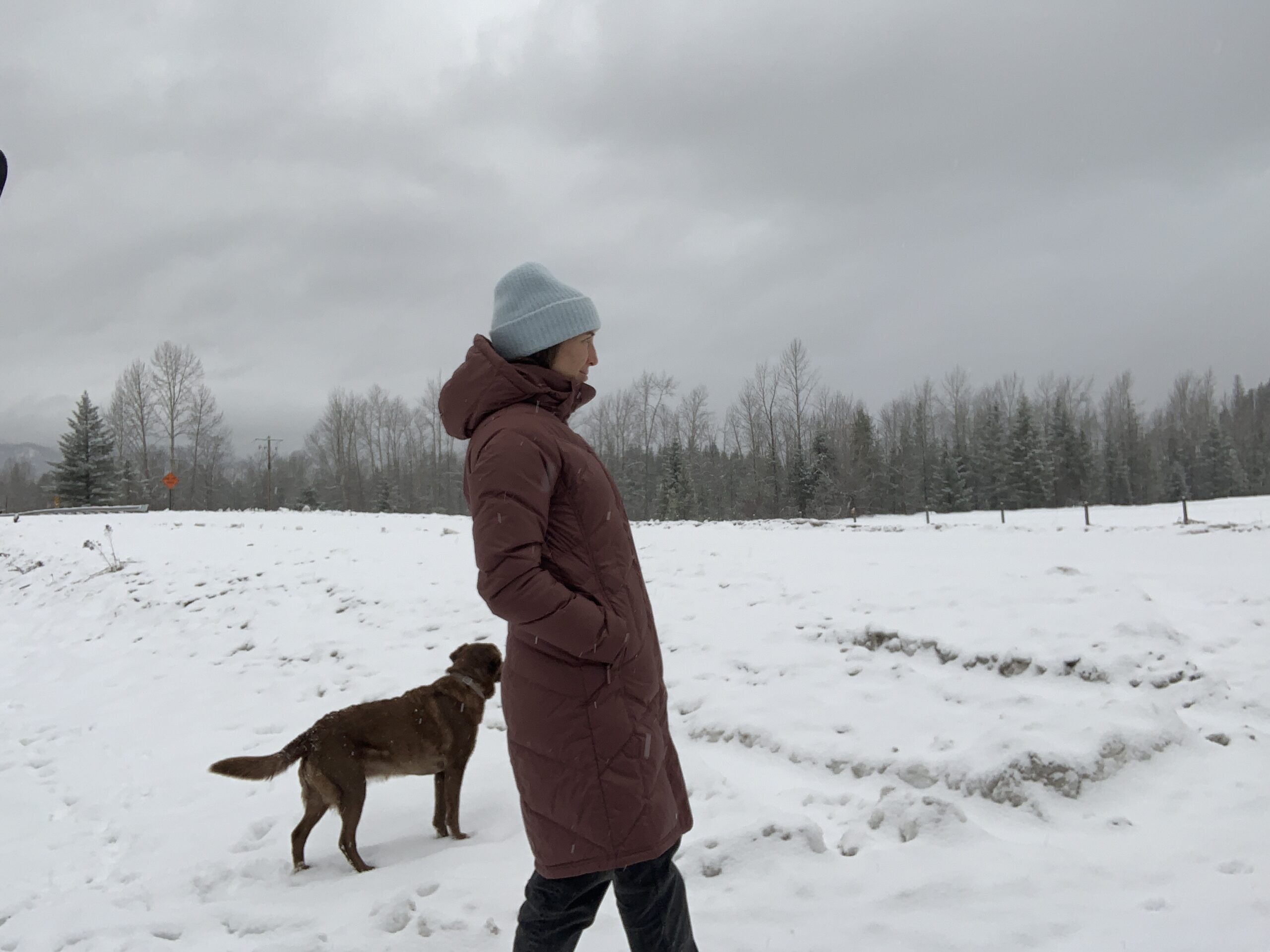 a woman with her dog on the side of a snowy road looking at a pasture