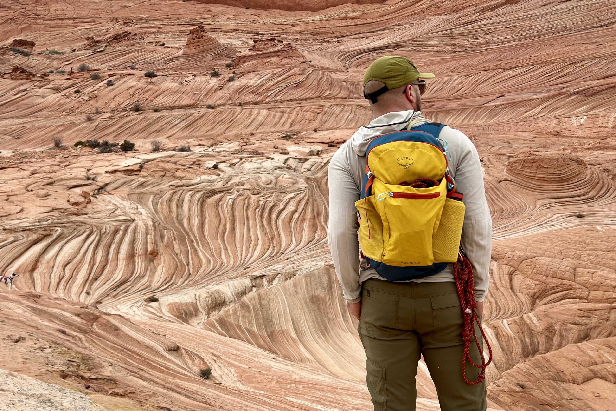 A man looks into the distance in a desert landscape.