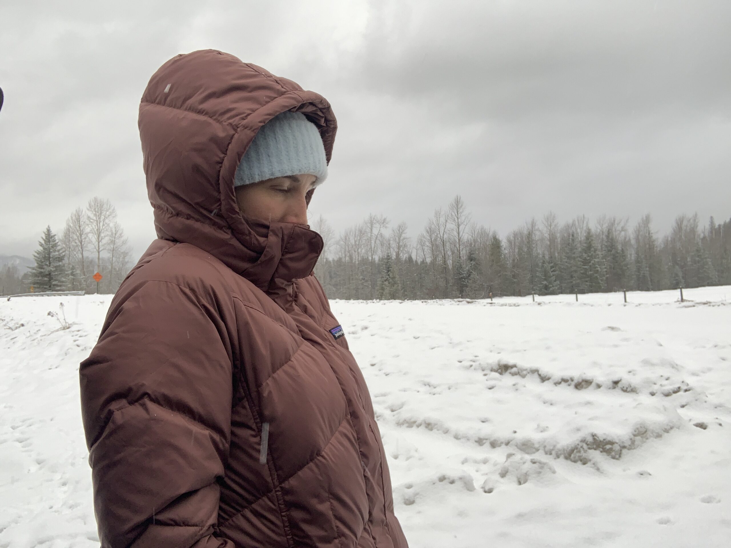 a woman wearing the hood up on the patagonia down with it parka