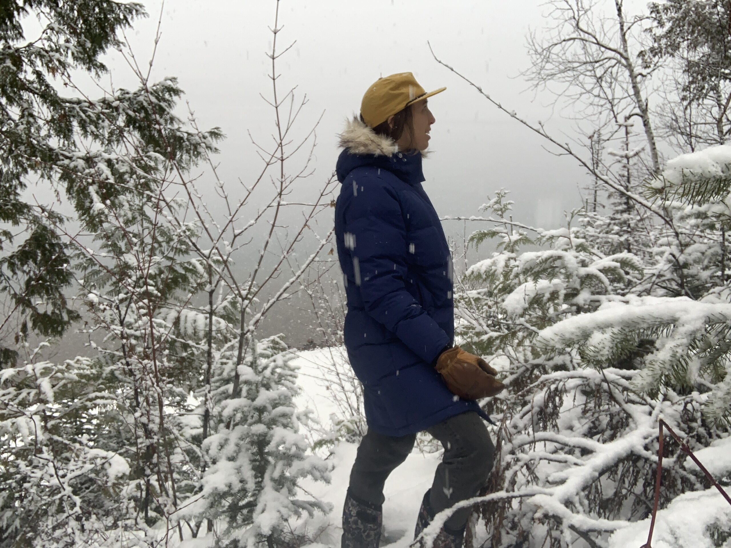 A woman looking into the trees along the shore of a glacial lake while it is snowing