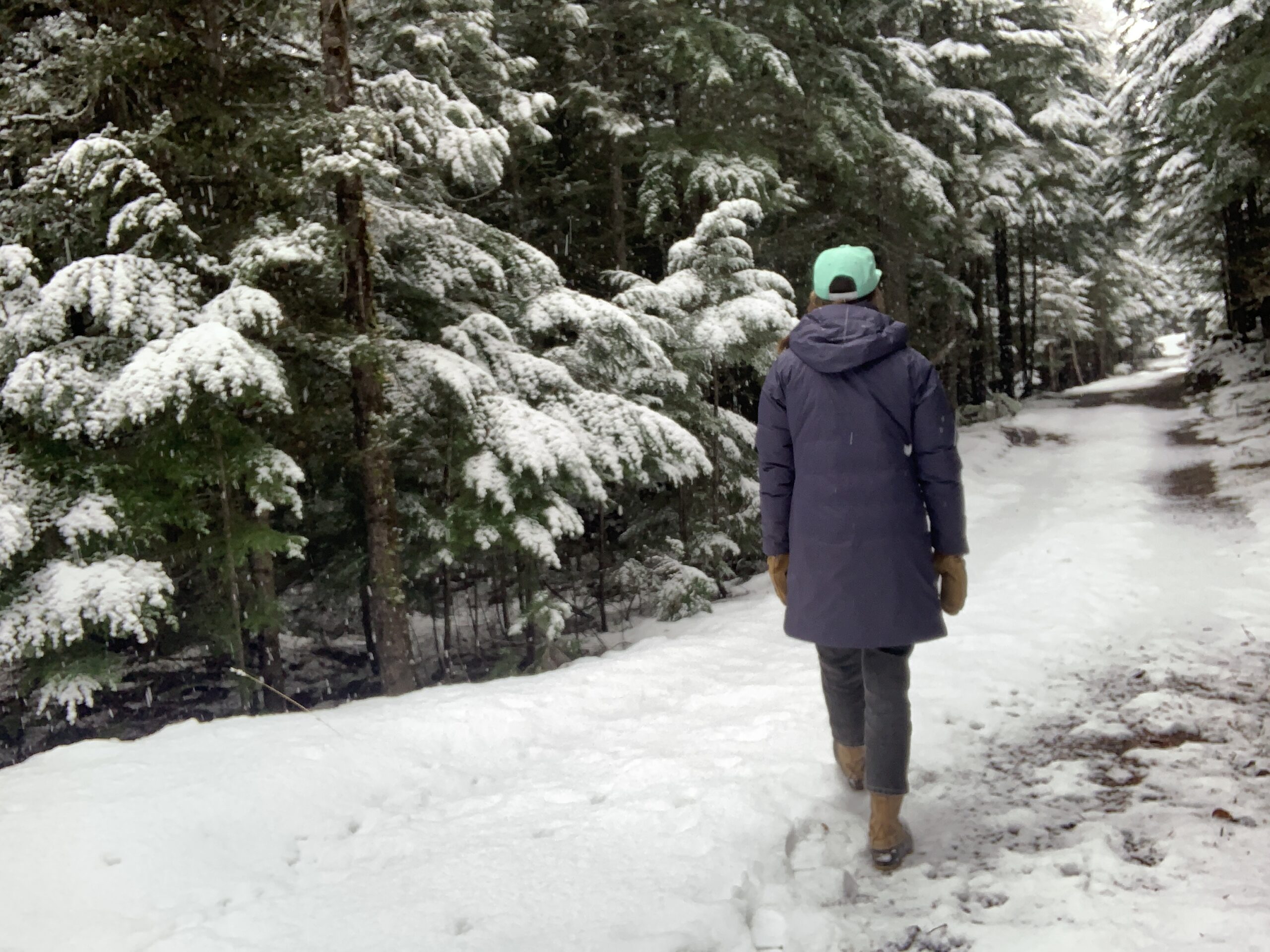 a woman walking on a snowy national park service road