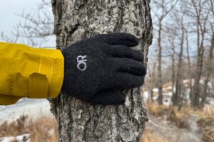 A closeup of a hand wearing gloves on a tree.