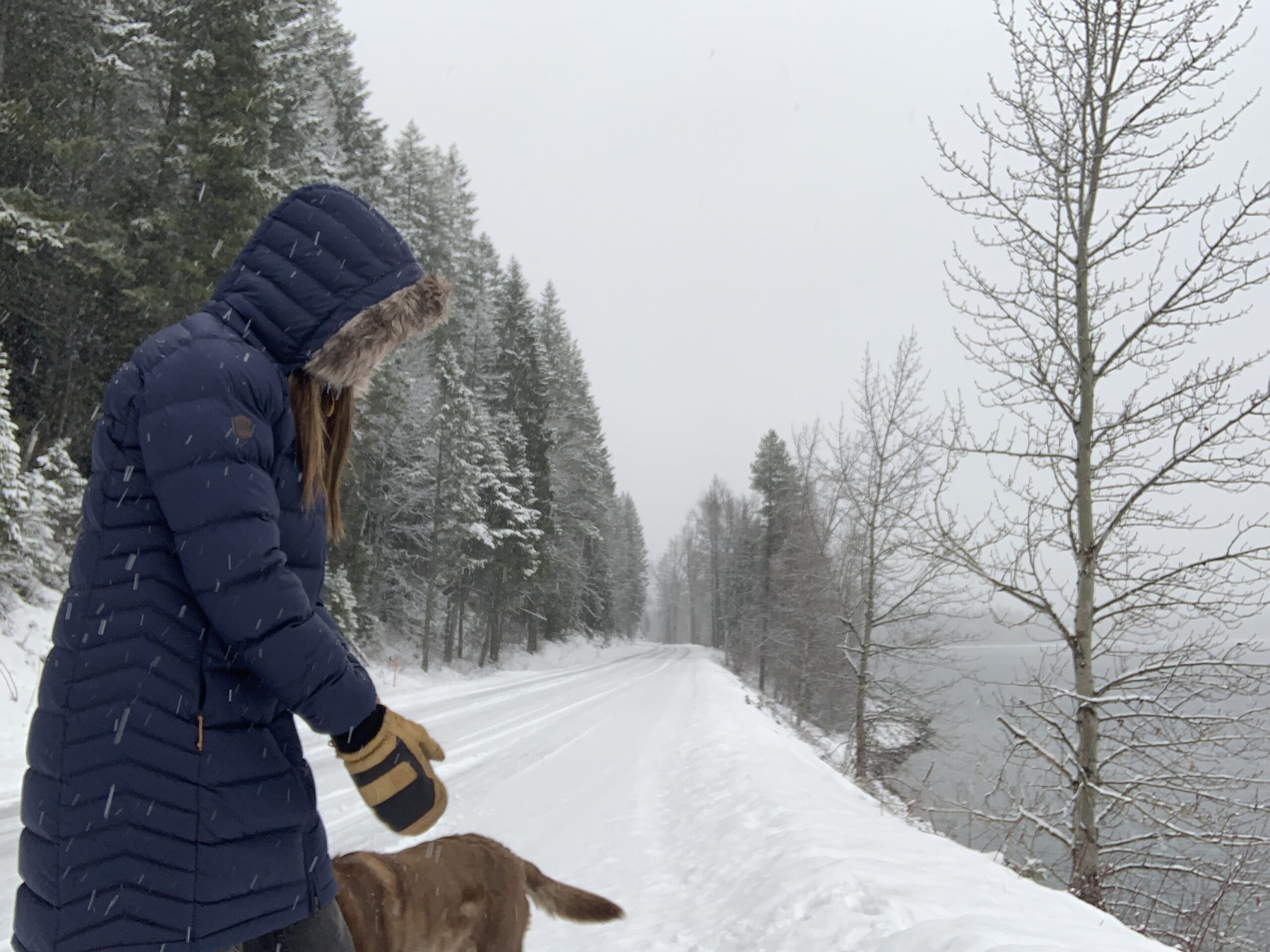 a woman walking her dog along a snowy road next to a lake