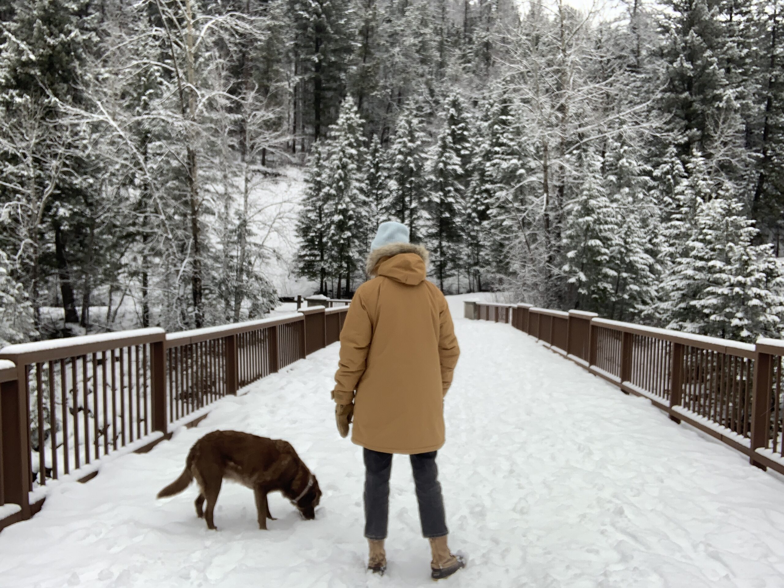 a woman and her dog on a bridge wearing the fjallraven nuuk winter parka