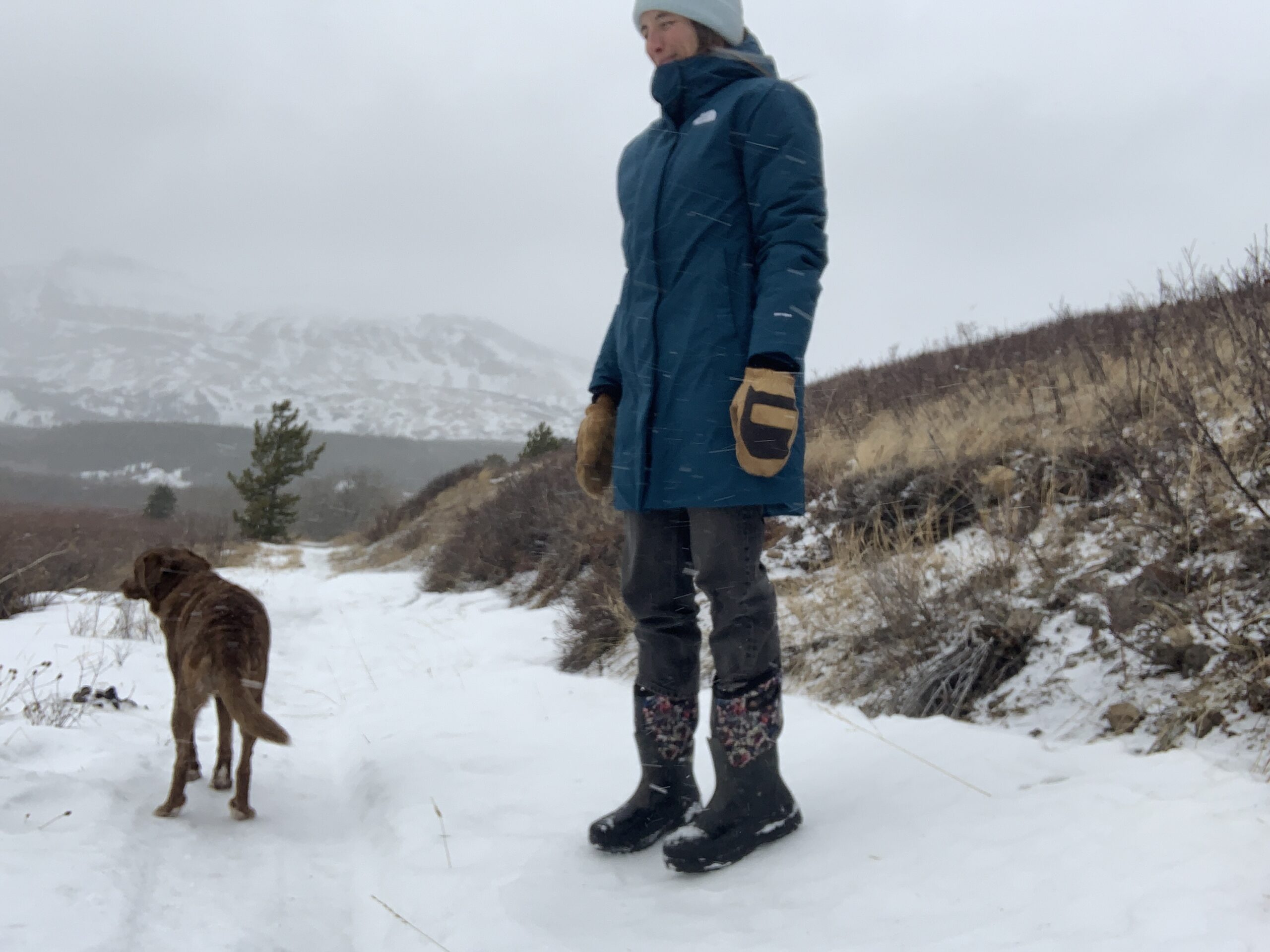 a dog and women face into the wind and snow while she tests and reviews the north fact artic winter parka's insulation