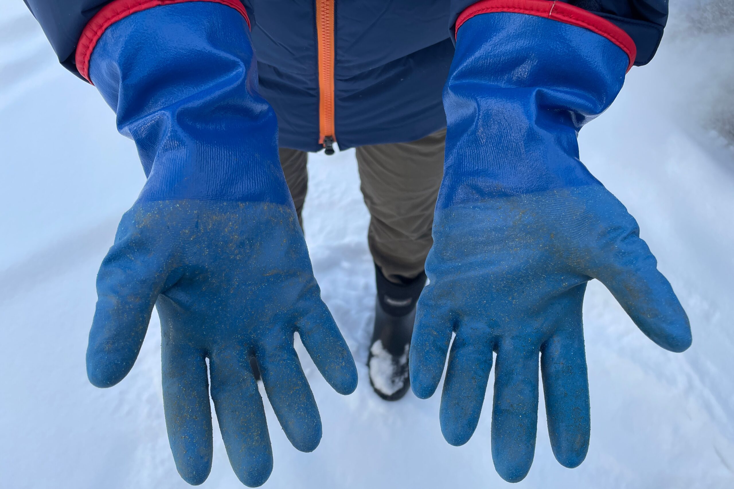 A closeup of the palms of a pair of blue gloves.