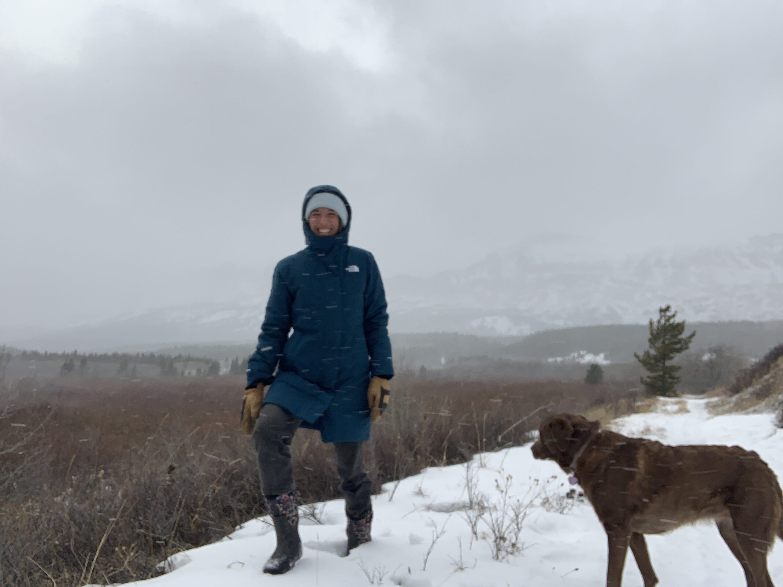 woman walking with dog on a windy snowy day in the north face arctic down waterproof jacket