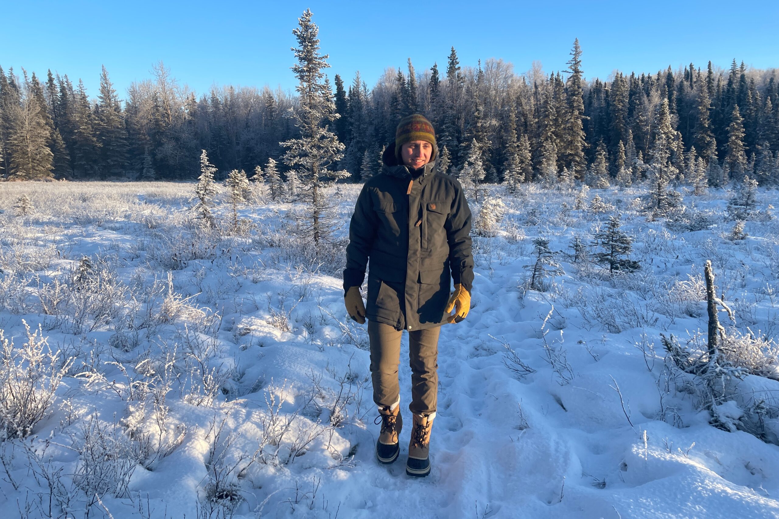 A man walks through a sunny and snowy boreal forest.