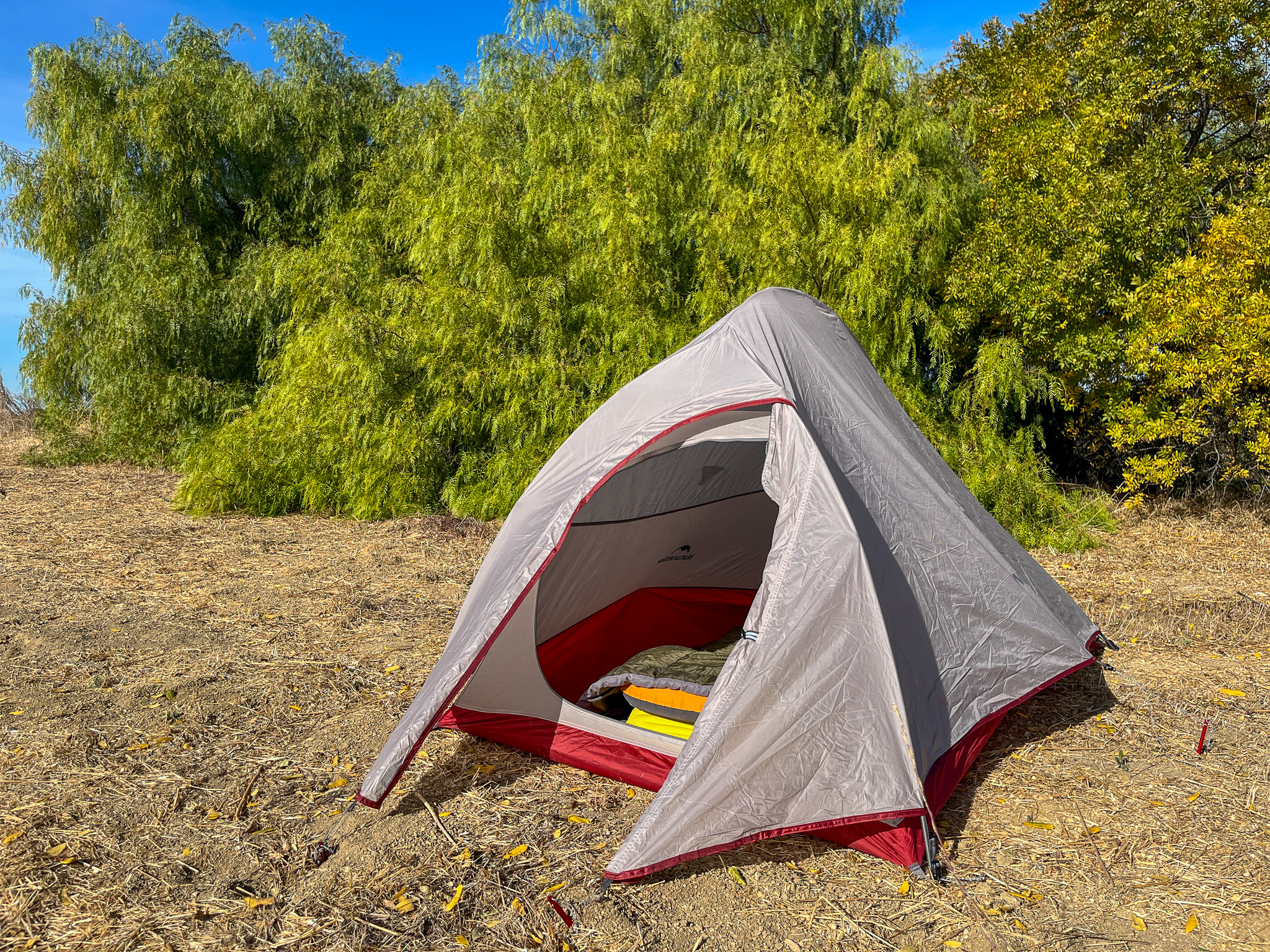 A Naturehike CloudUp 2 tent is pitched with its vestibule and door open, next a large tree in the background.