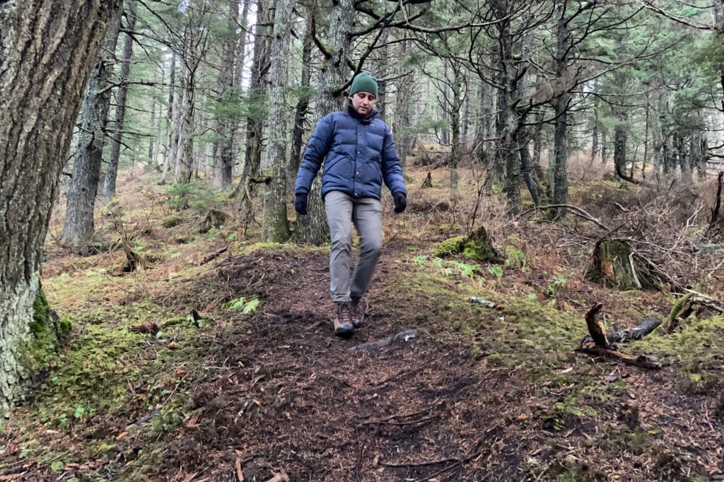 A man walks down a forest trail