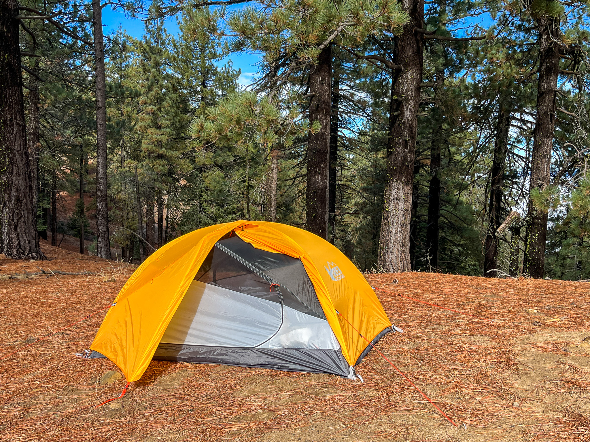 View of the REI Trail Hut 2 with one of the vestibule doors open and the forest sloping down in the background.