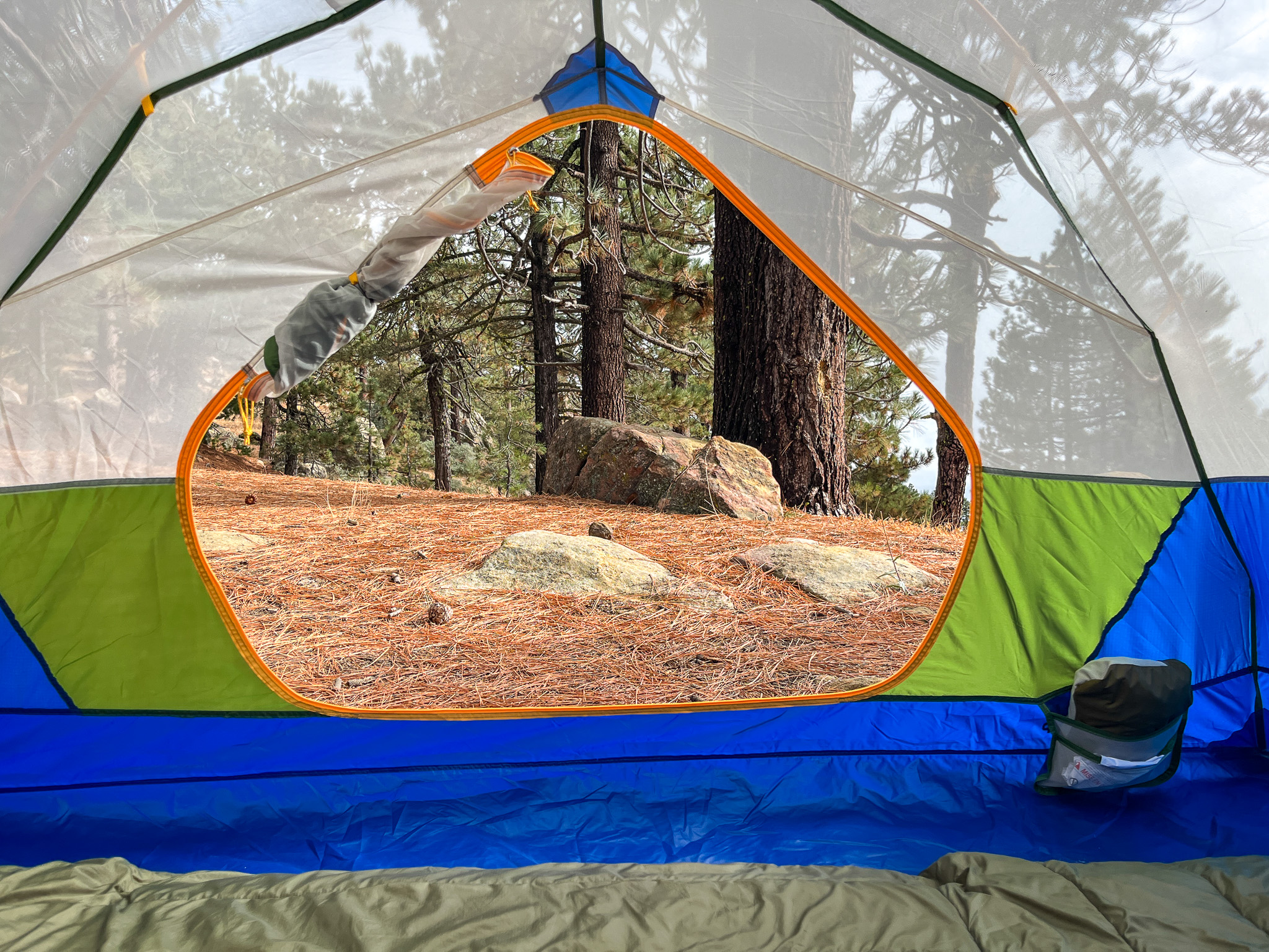 A view from inside the Marmot Tungsten 2, showcasing the large mesh windows that offer expansive views of the forest.