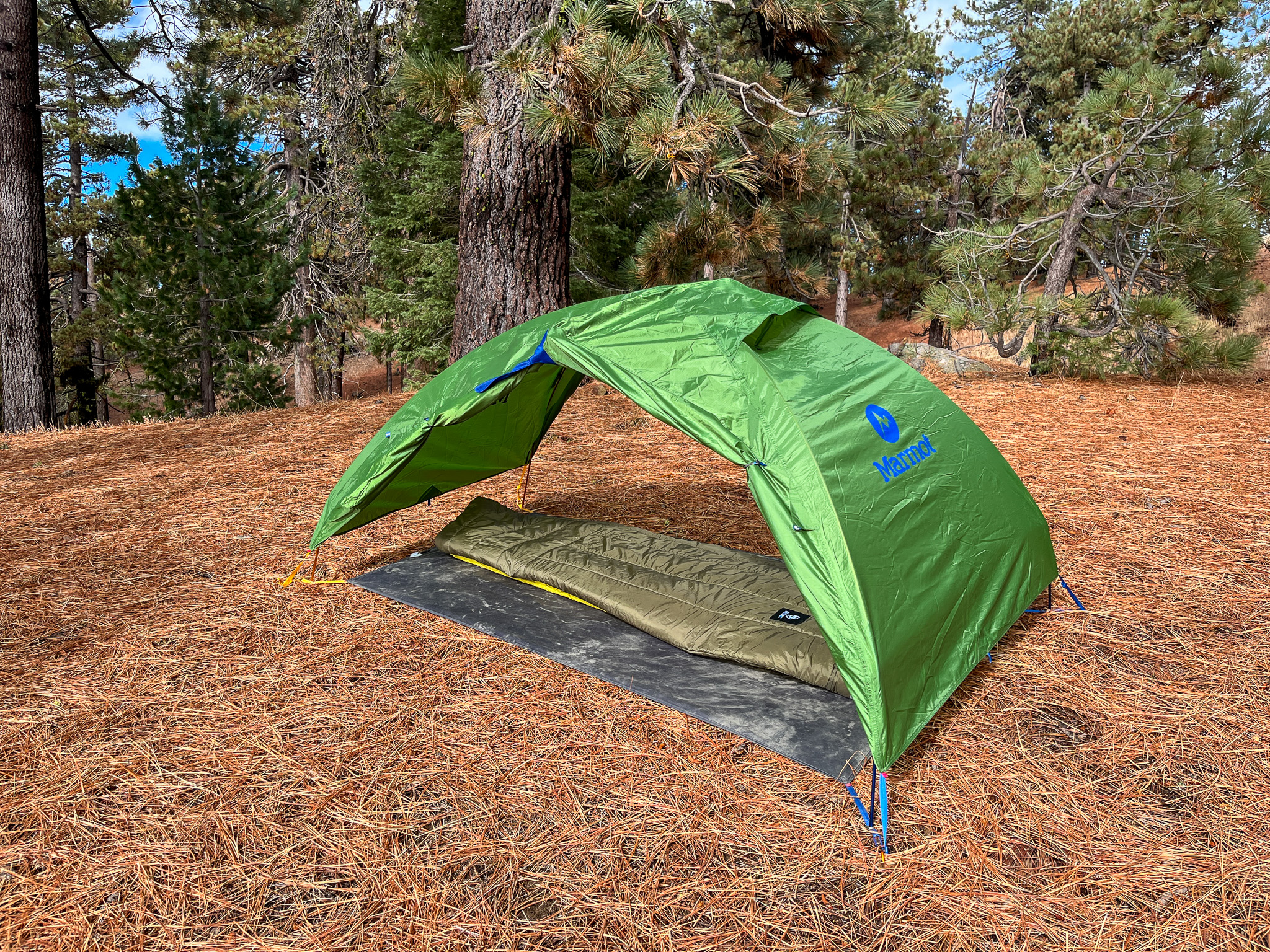 The Marmot Tungsten 2 pitched in minimalist mode in a clearing of pine needles, tall trees in the background.