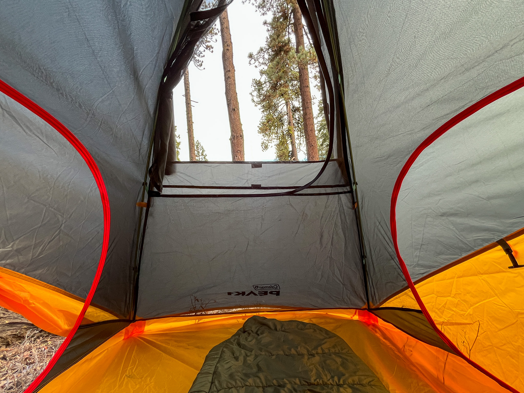 Inside view of the Coleman peak 1 facing toward the foot of the tent looking up through the roof panel where pine trees are visible.