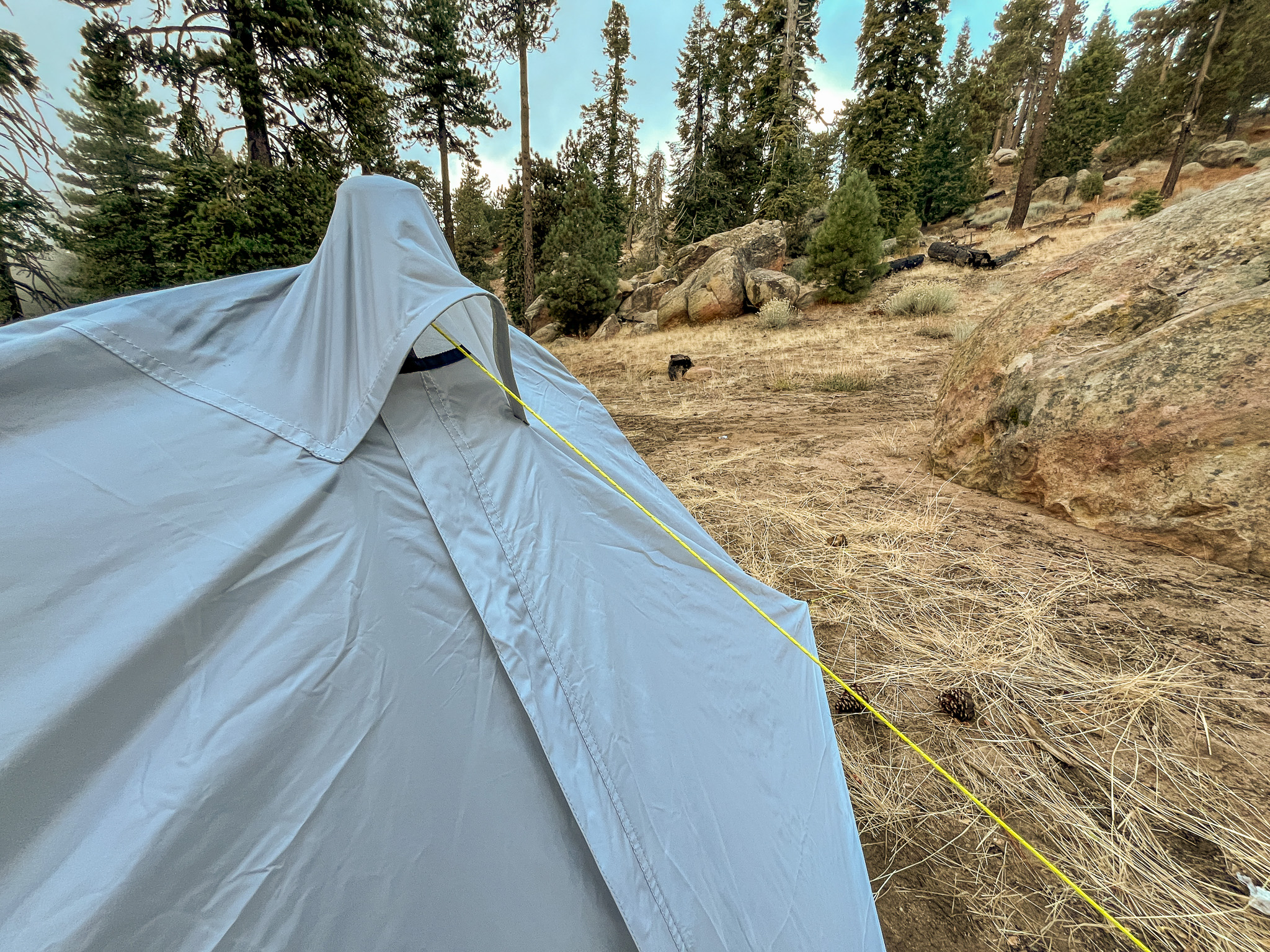 Closeup of the canopy fabric, hooded vent, and handle of a trekking pole underneath pressing upwards. There's an apex guy line coming from underneath holing everything in place and pine forest visible in the background.