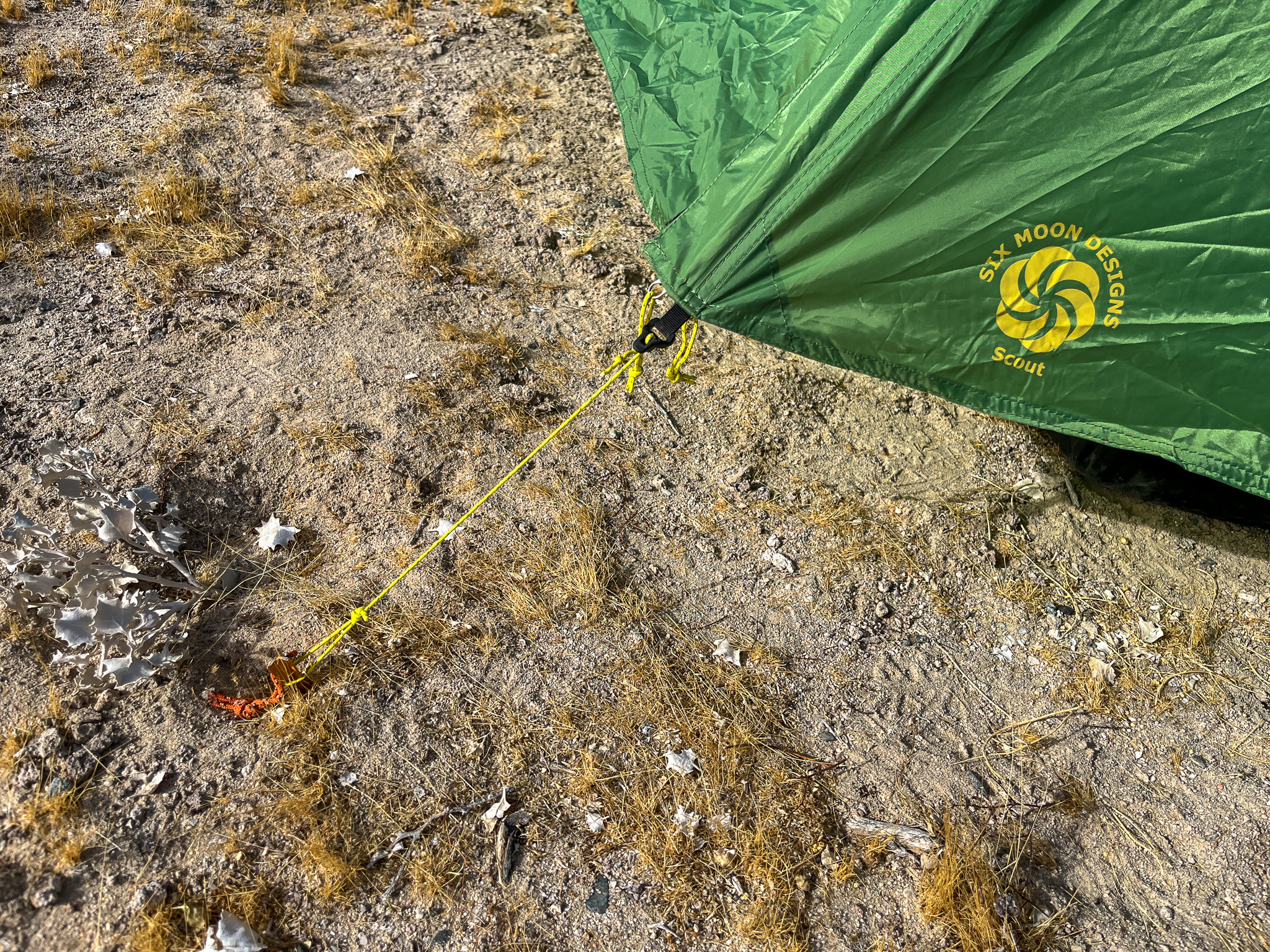 Closeup view of a vestibule anchor point secured to a stake. It shows the reinforced pullout and the added tension adjuster. Sandy desert gravel and patchy dry grass dot the ground.