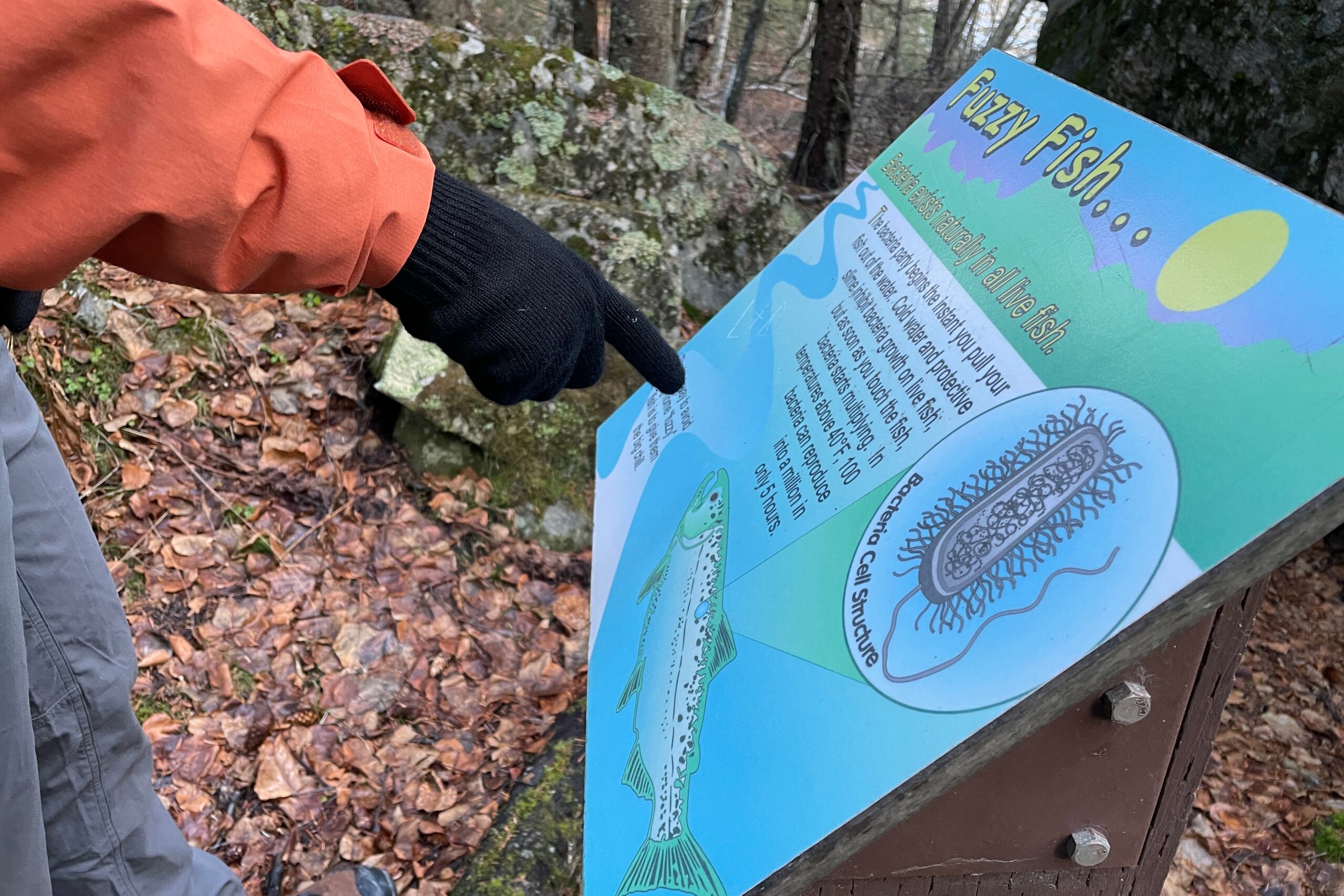 A gloved hand points at an interpretive sign.