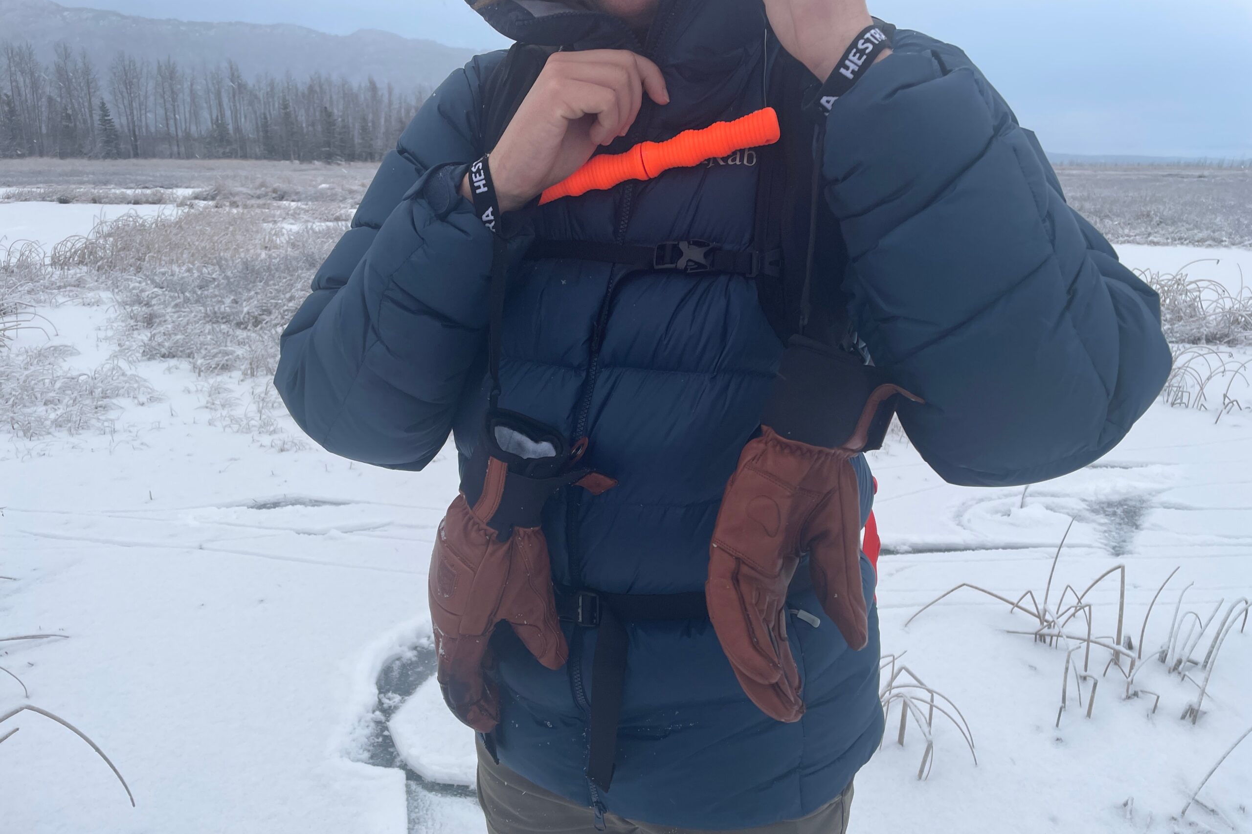 A closeup of gloves on leashes.