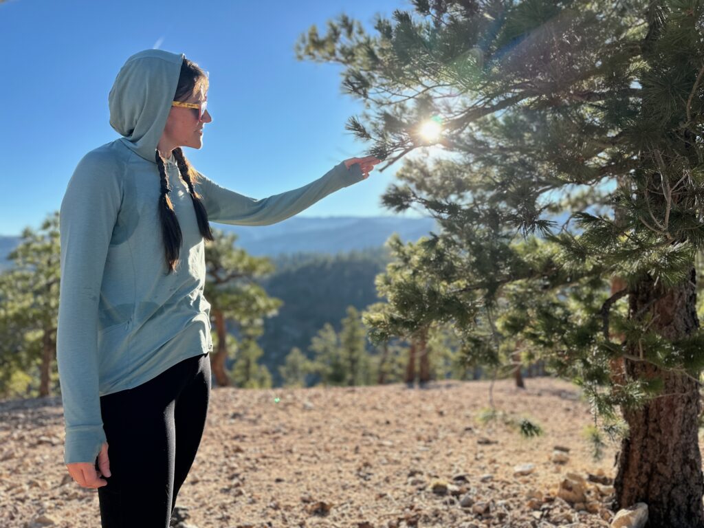 woman hiking with backpacking pack on in pine forest