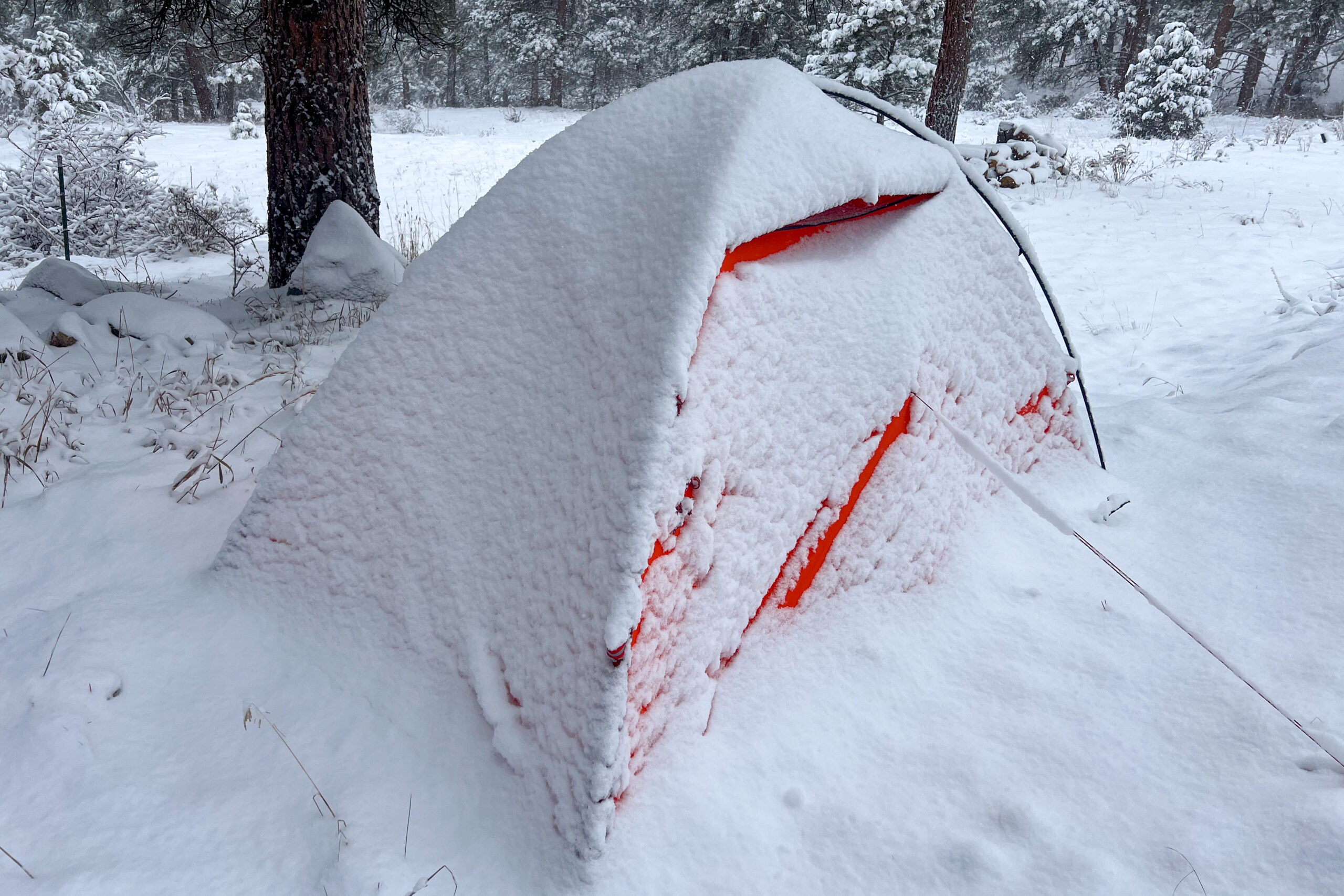 The MSR Advance Pro 2 tent covered in a thick layer of snow, blending into the wintry forest background.