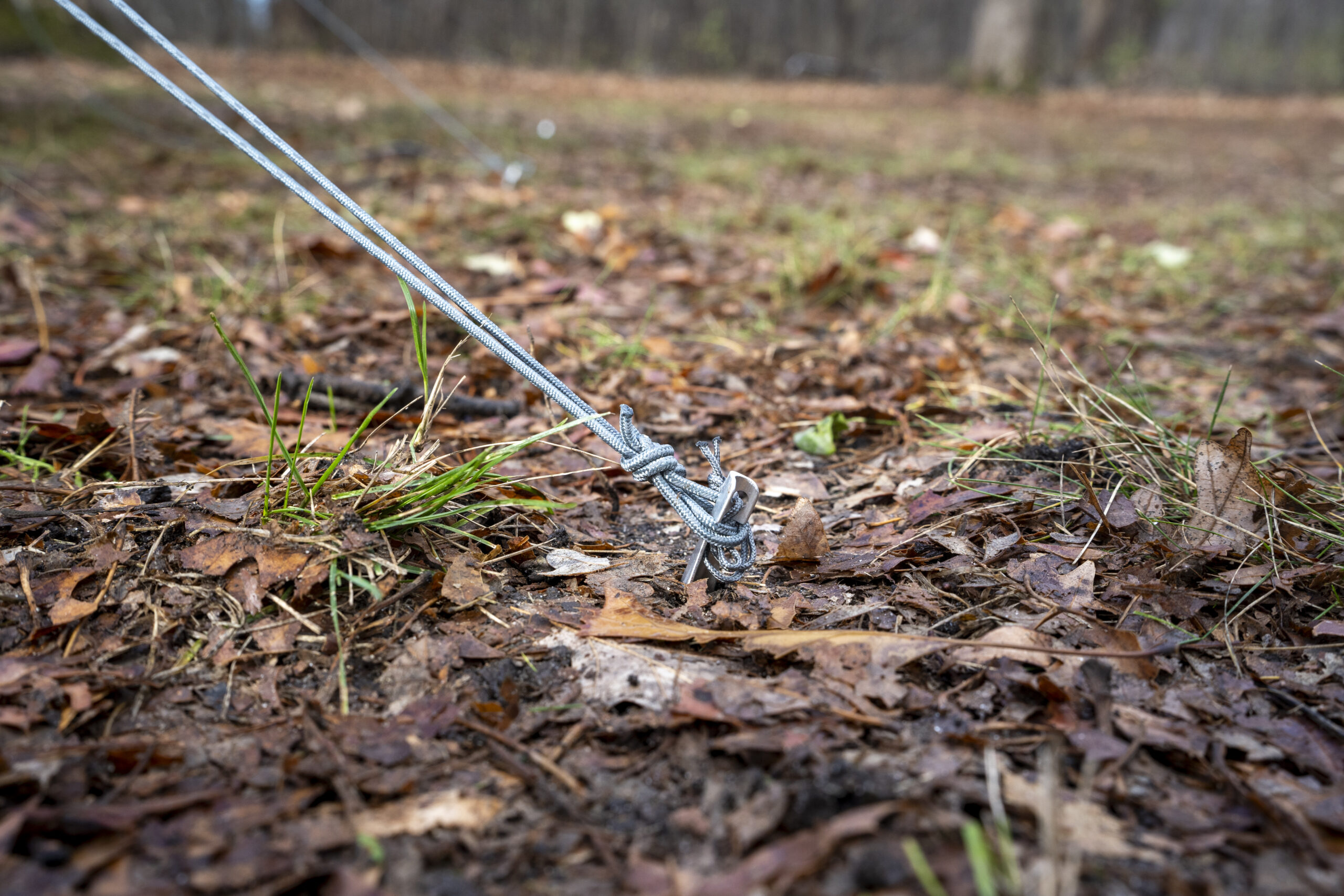 A metal stake holds a cord to the ground