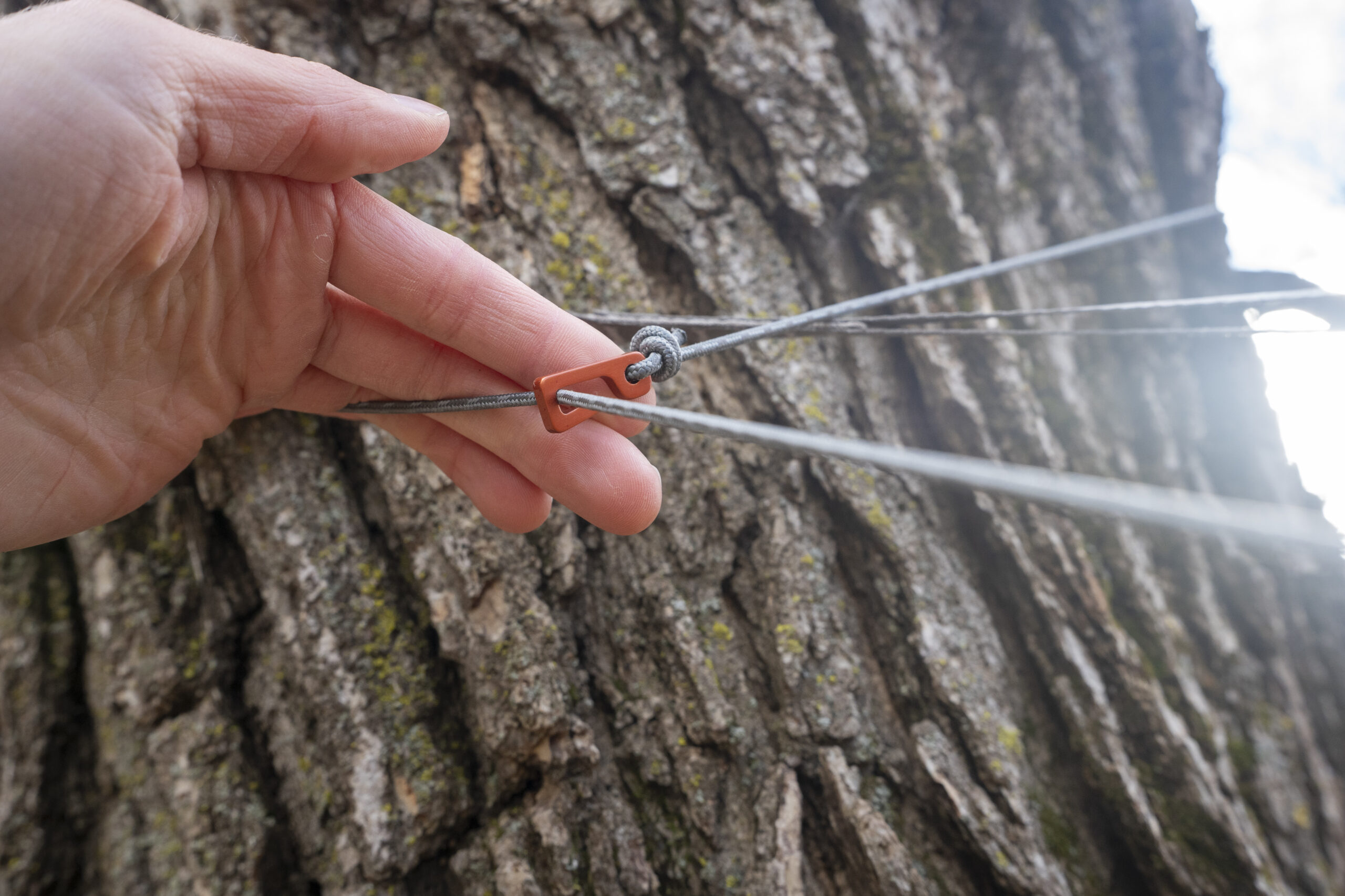 A hand tests the tension of a cord wrapped around a tree with a hook