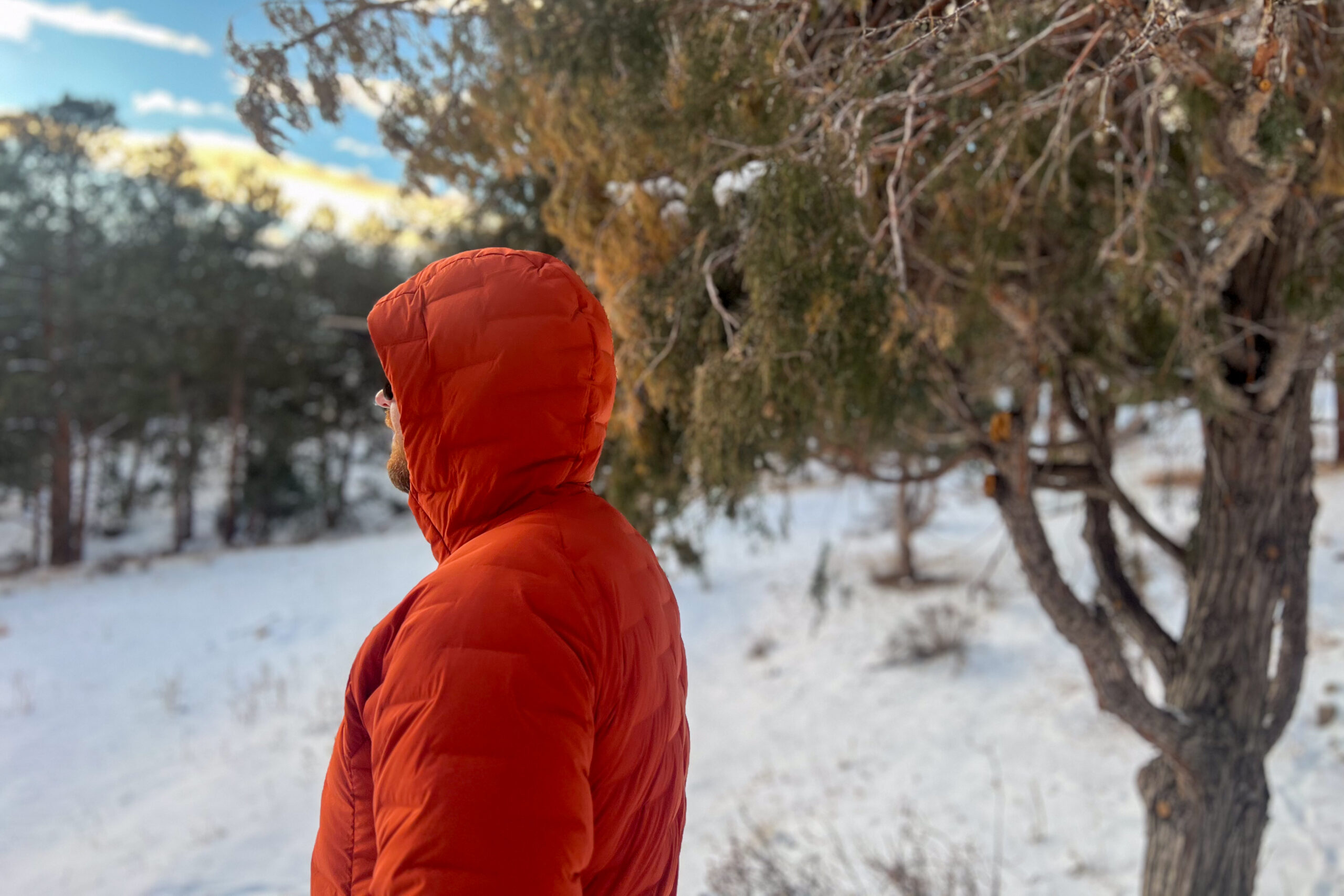 A person wearing the Mountain Hardwear StretchDown Hoody in profile, with the hood fully up against a snowy forest backdrop.