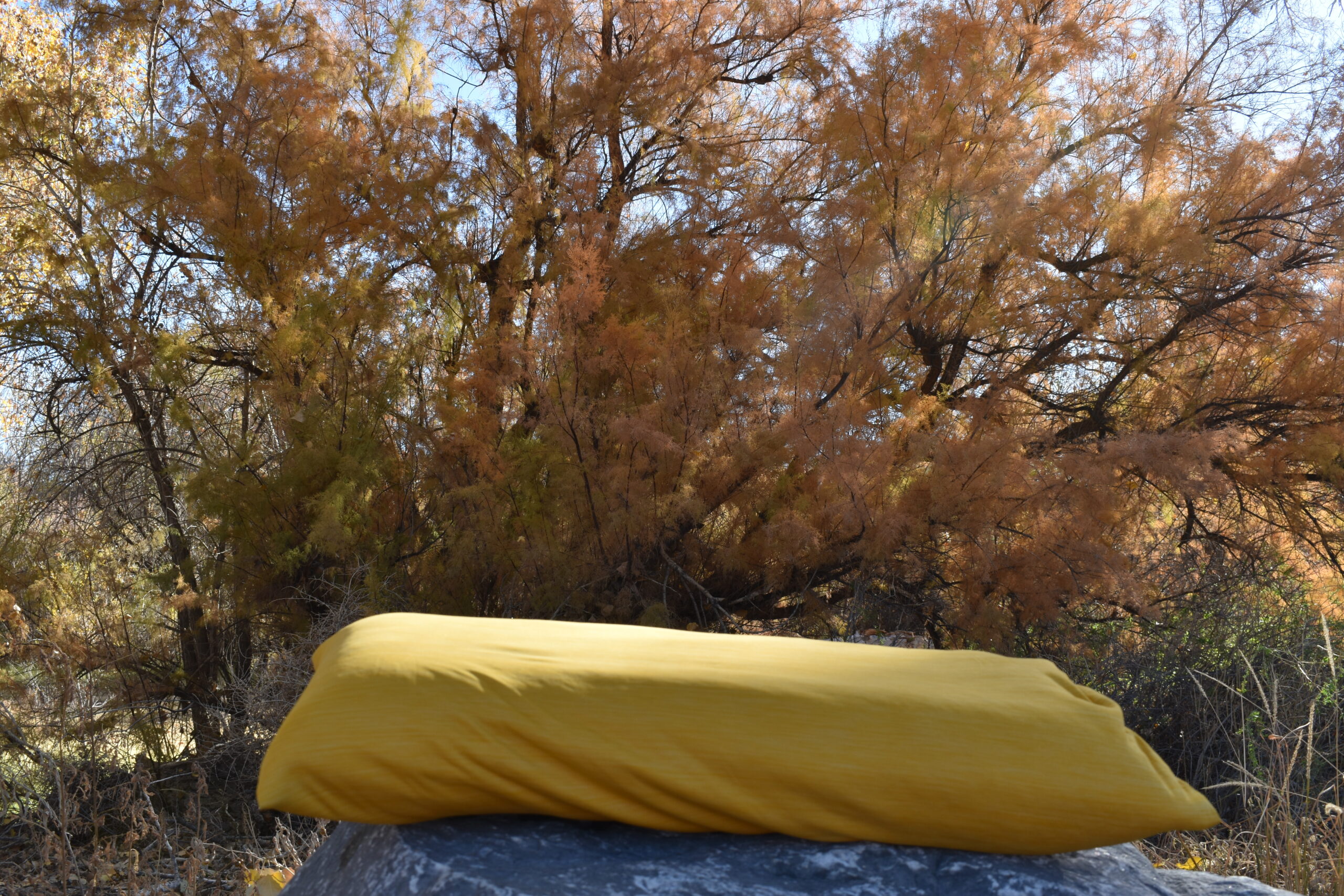 Close up of yellow Fillo Elite Luxury pillow in front of a shrub with yellowed autumn leaves