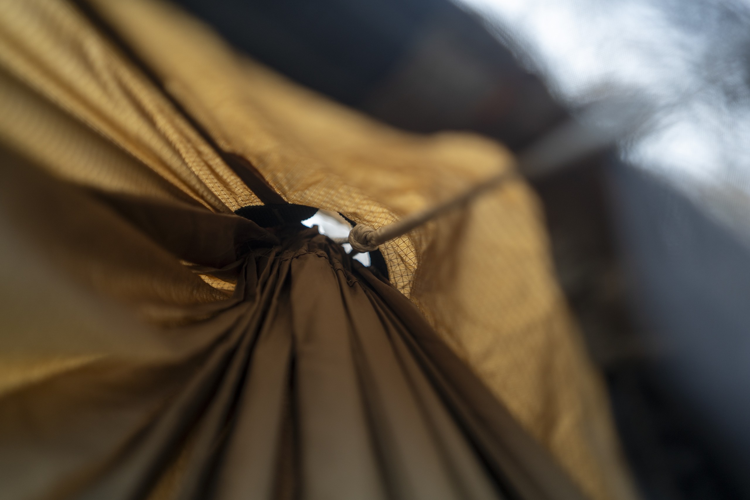 a view at the end of a hammock showing where the ridgeline connects