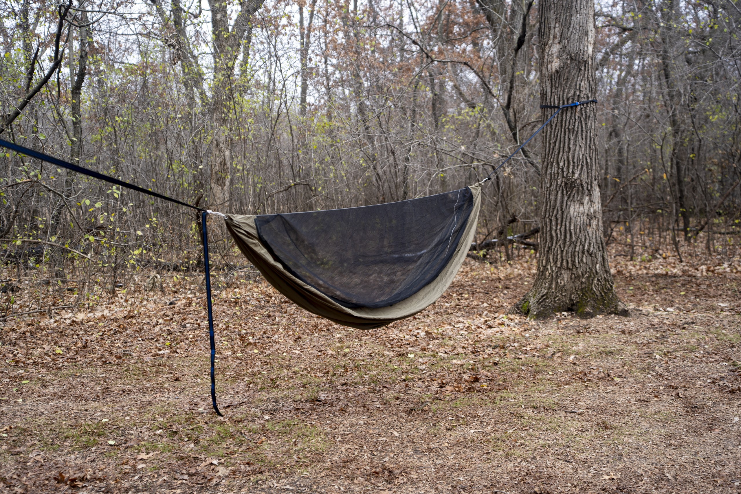 a hammock hangs in a forest clearing