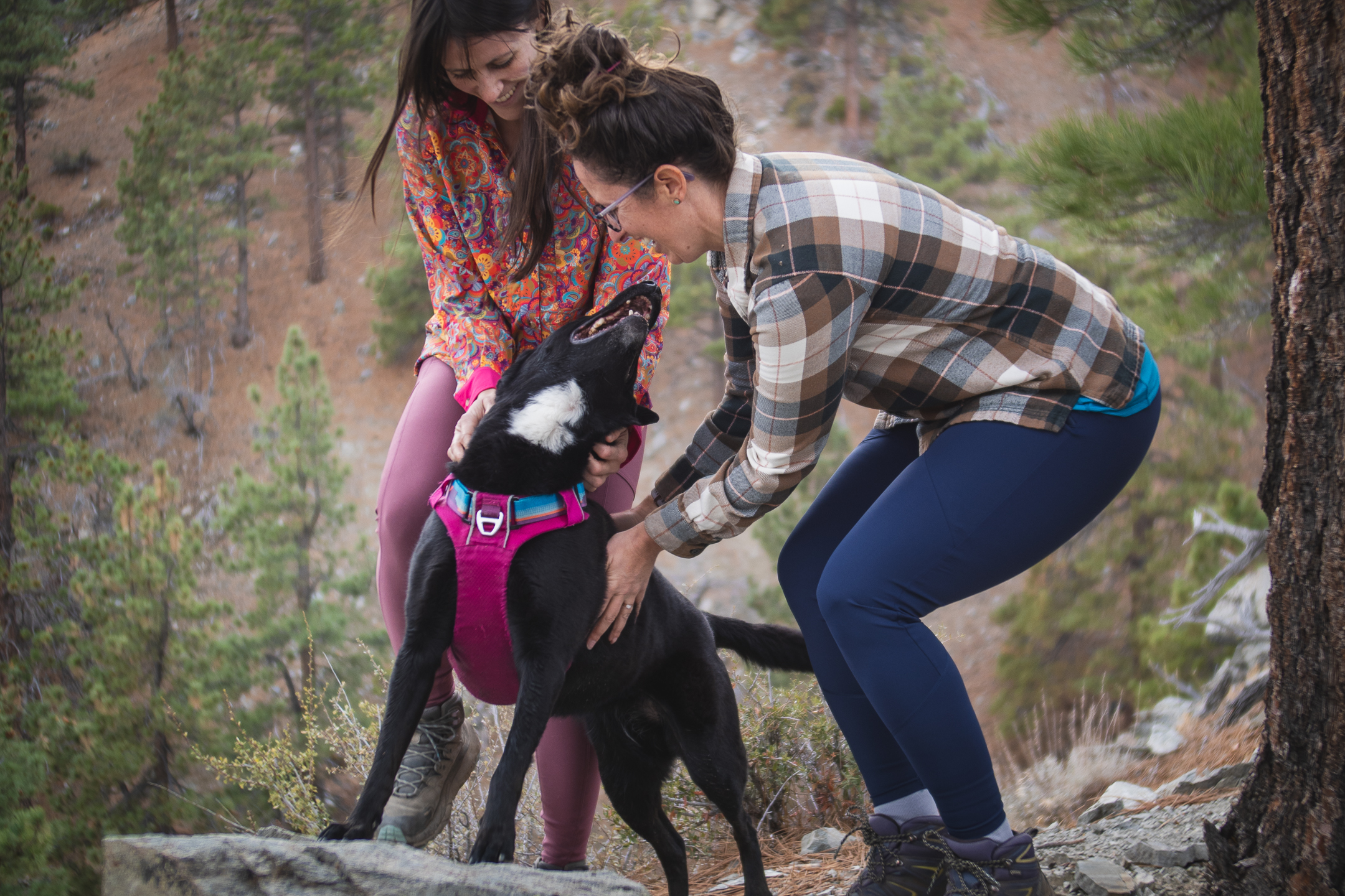 Woman hiking in dark blue athletic leggings.