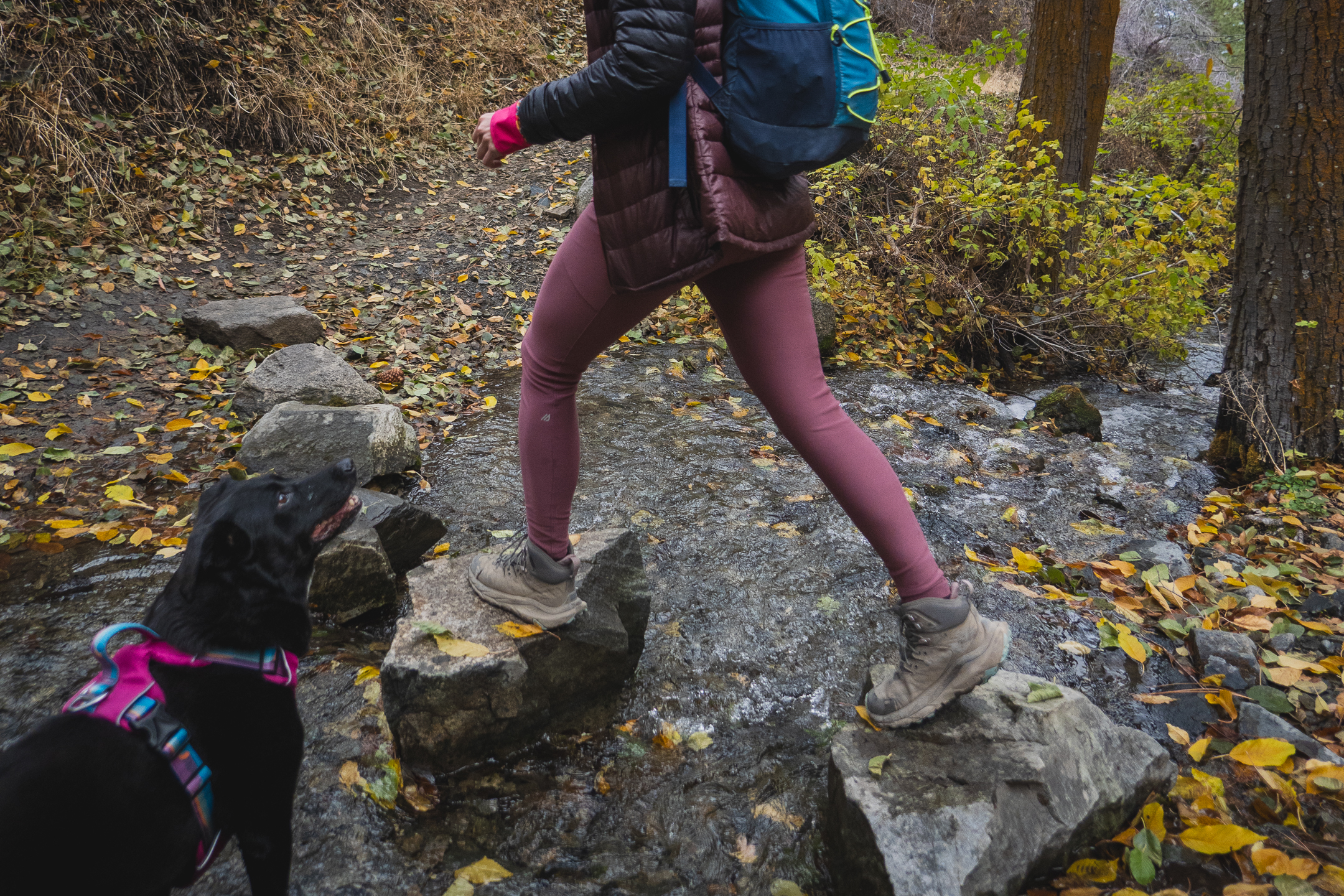 person in pinkish/salmon colored leggings walking across rock steps in a dried up river, wearing a blue backpack