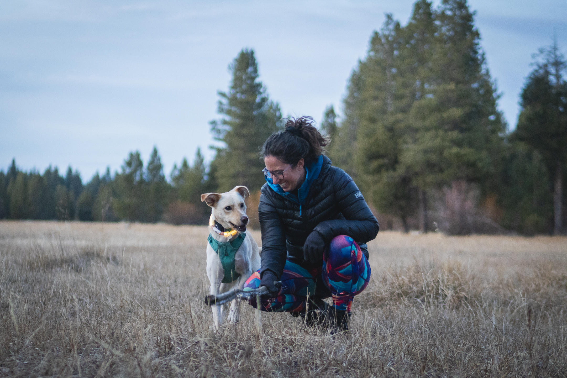 A woman crouching down in bright leggings and hiking boots, smiling, while holing a stick for their dog. Dog has white fur and a teal harness and looks excited.