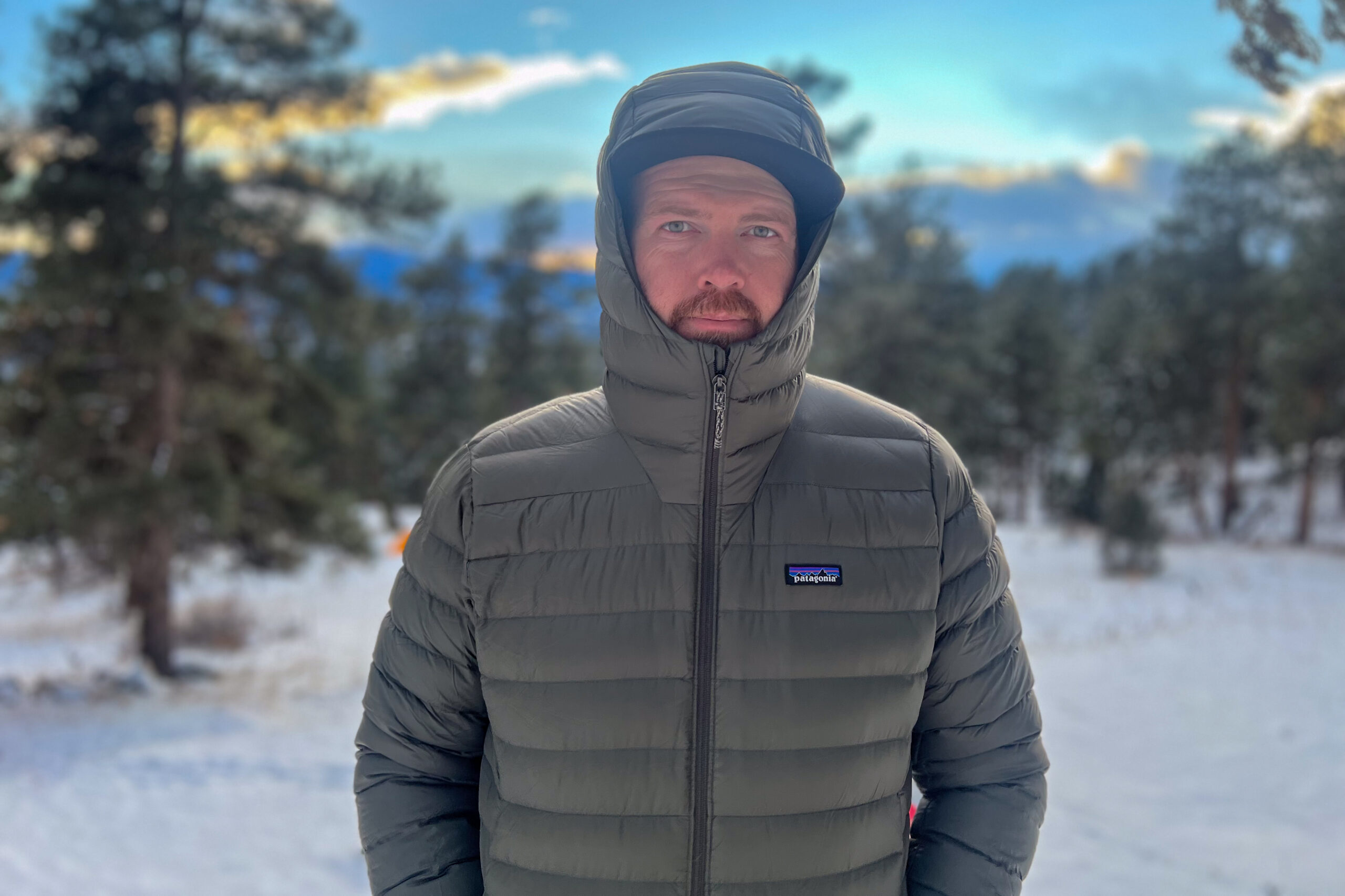 Front view of a person wearing the Patagonia Down Sweater Hoody with the hood fully up and zipped to the collar, standing in a snowy forest with a neutral expression.