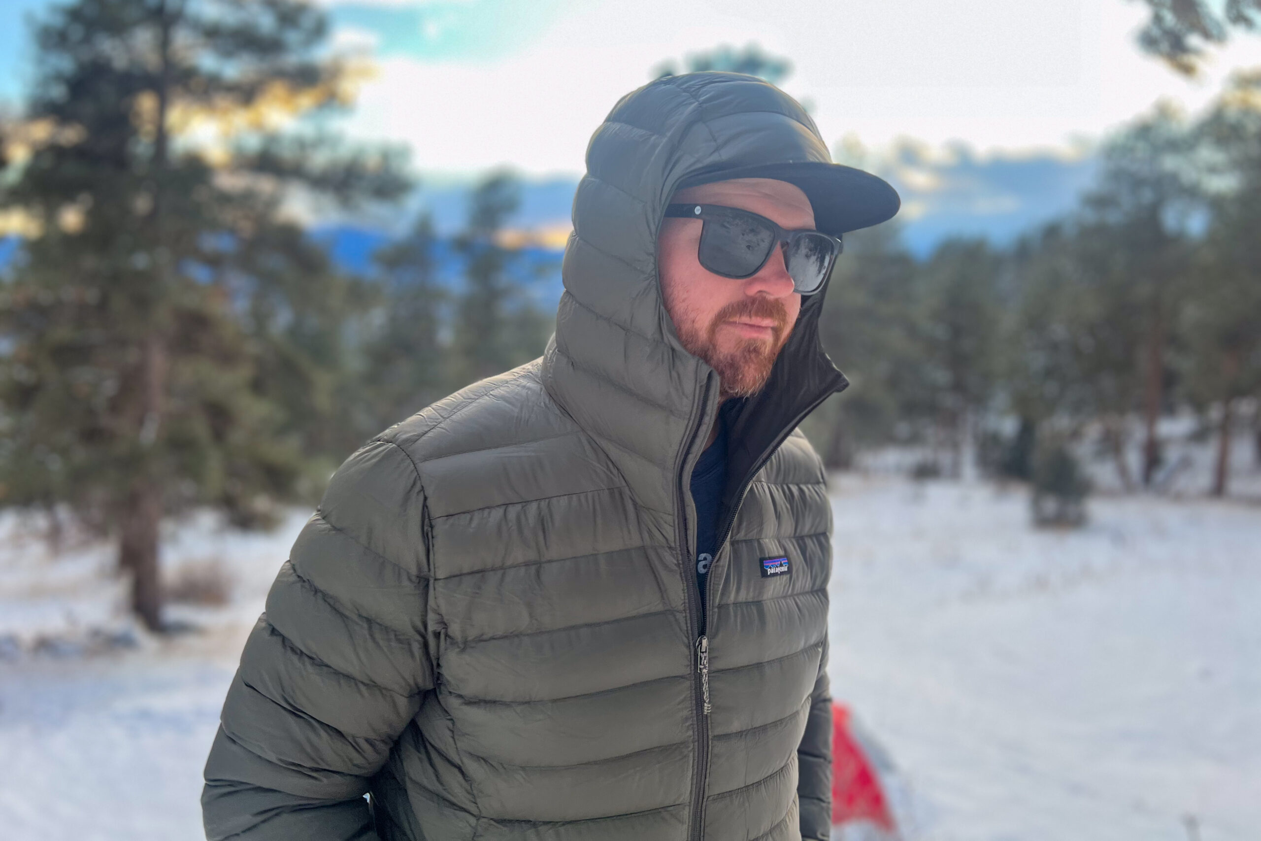 Close-up side profile of a person wearing the Patagonia Down Sweater Hoody with the hood up and sunglasses, showing the high collar and snug hood fit in a snowy forest.