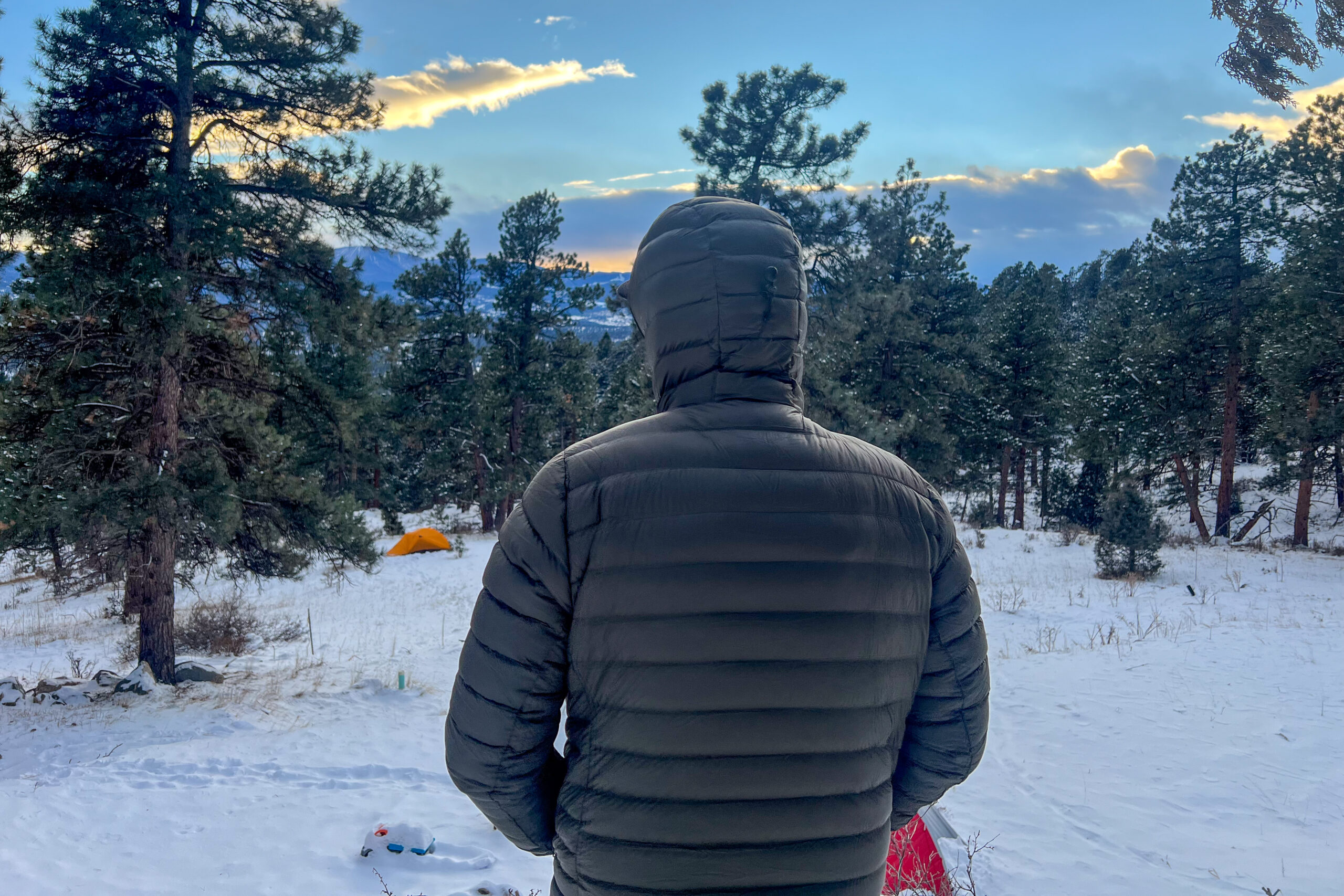 Rear view of a person wearing the Patagonia Down Sweater Hoody with the hood up, standing in a snowy forest at sunset with evenly spaced baffles for warmth.