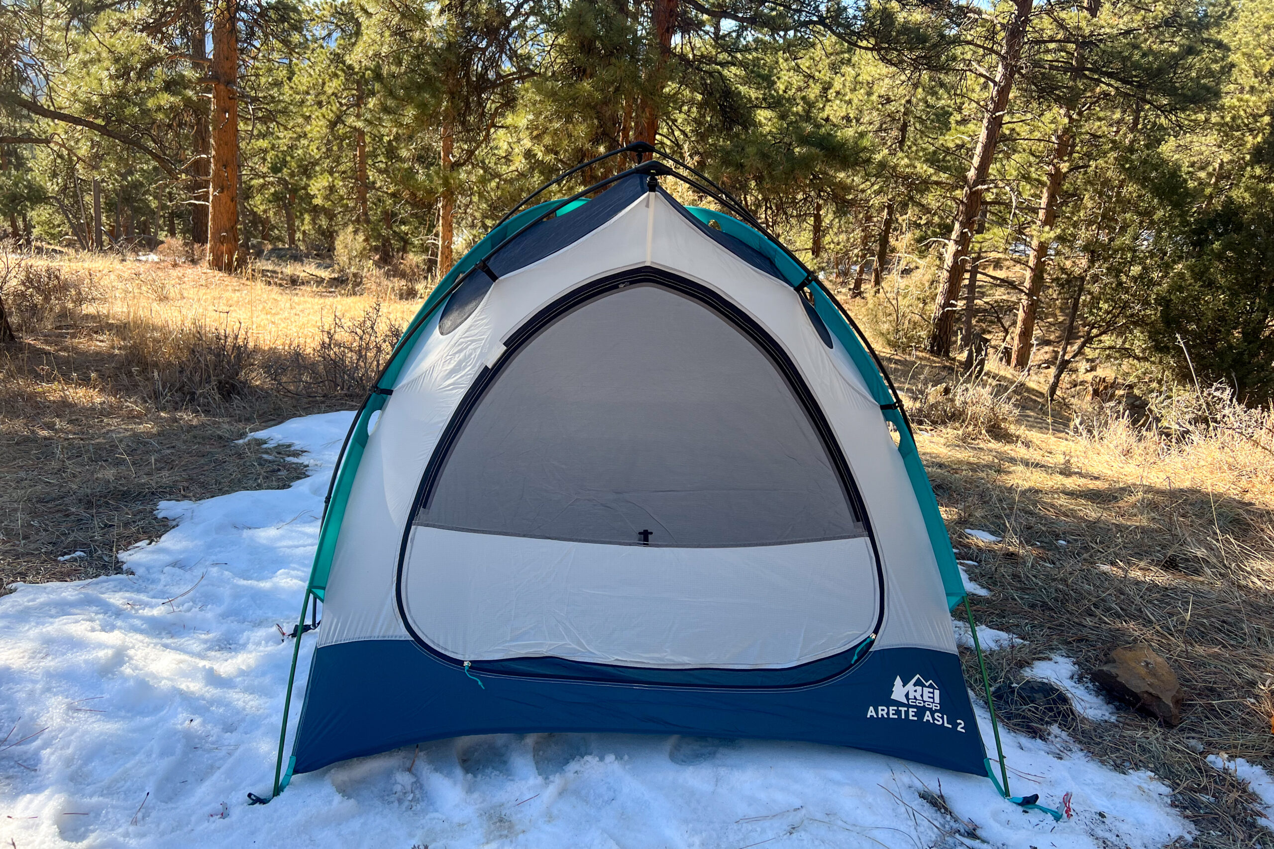 Front view of the REI Co-op Arete ASL 2 tent set up in a snowy forest clearing, featuring its mesh door and robust design for all-season use.