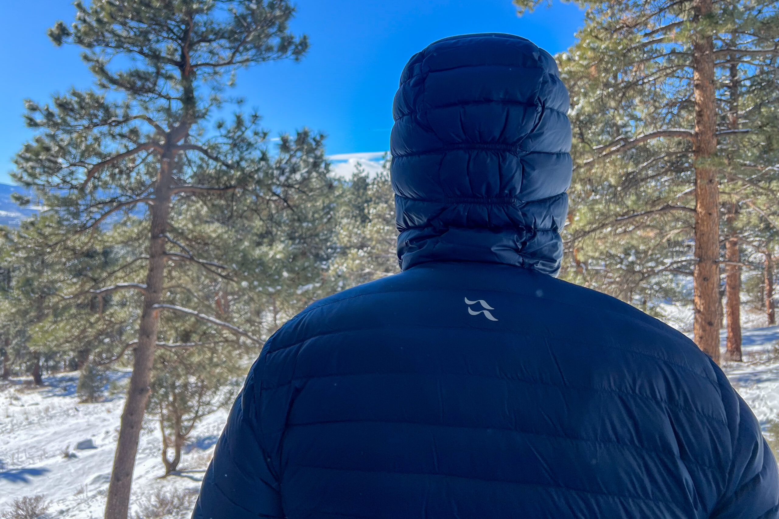 Rear view of the Rab Microlight Alpine jacket, showing the hood design and horizontal baffles against a snowy forest background.