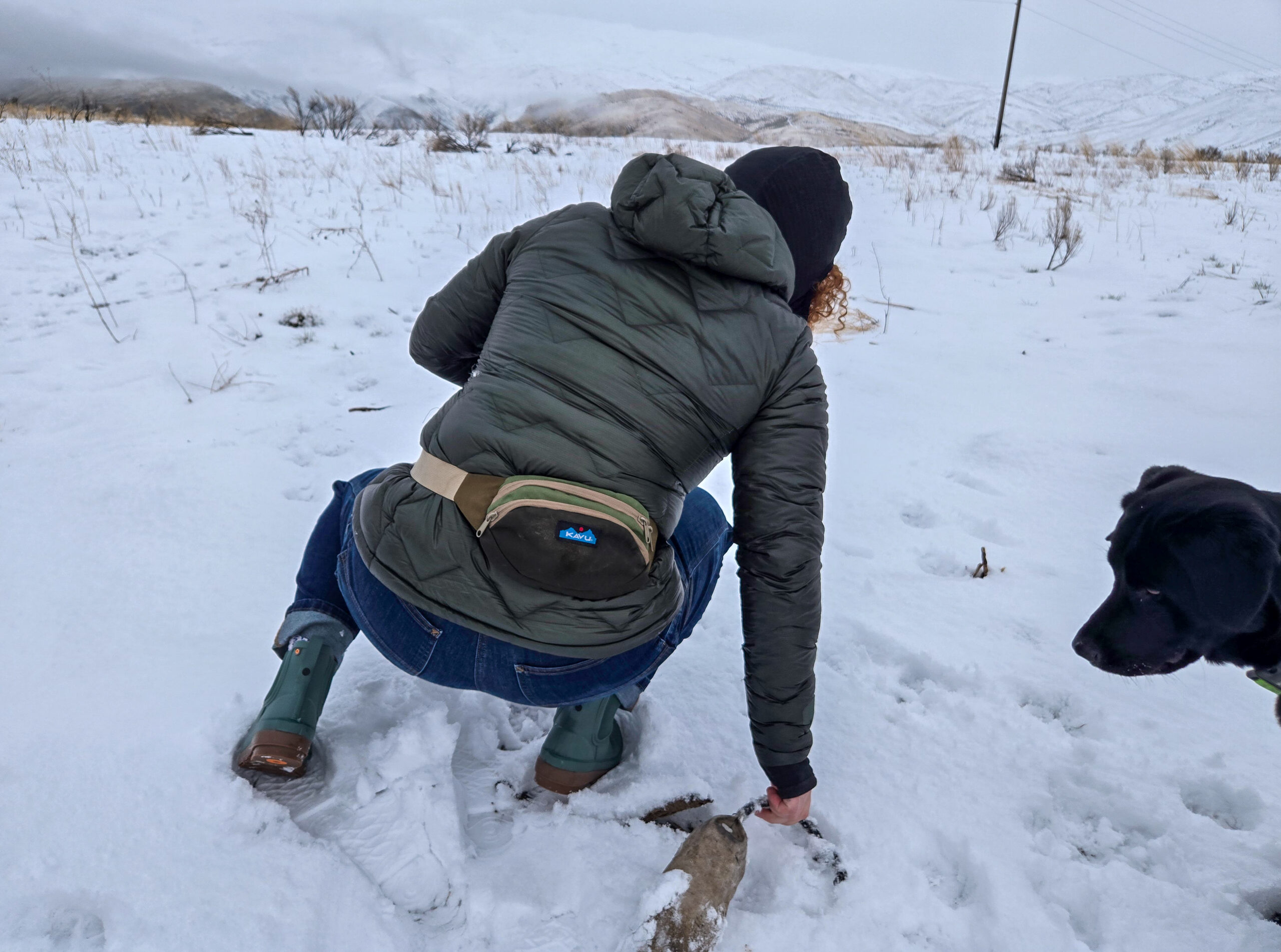 a woman crouching down with a kavu spectator on her low back with her black lab looking at her hand