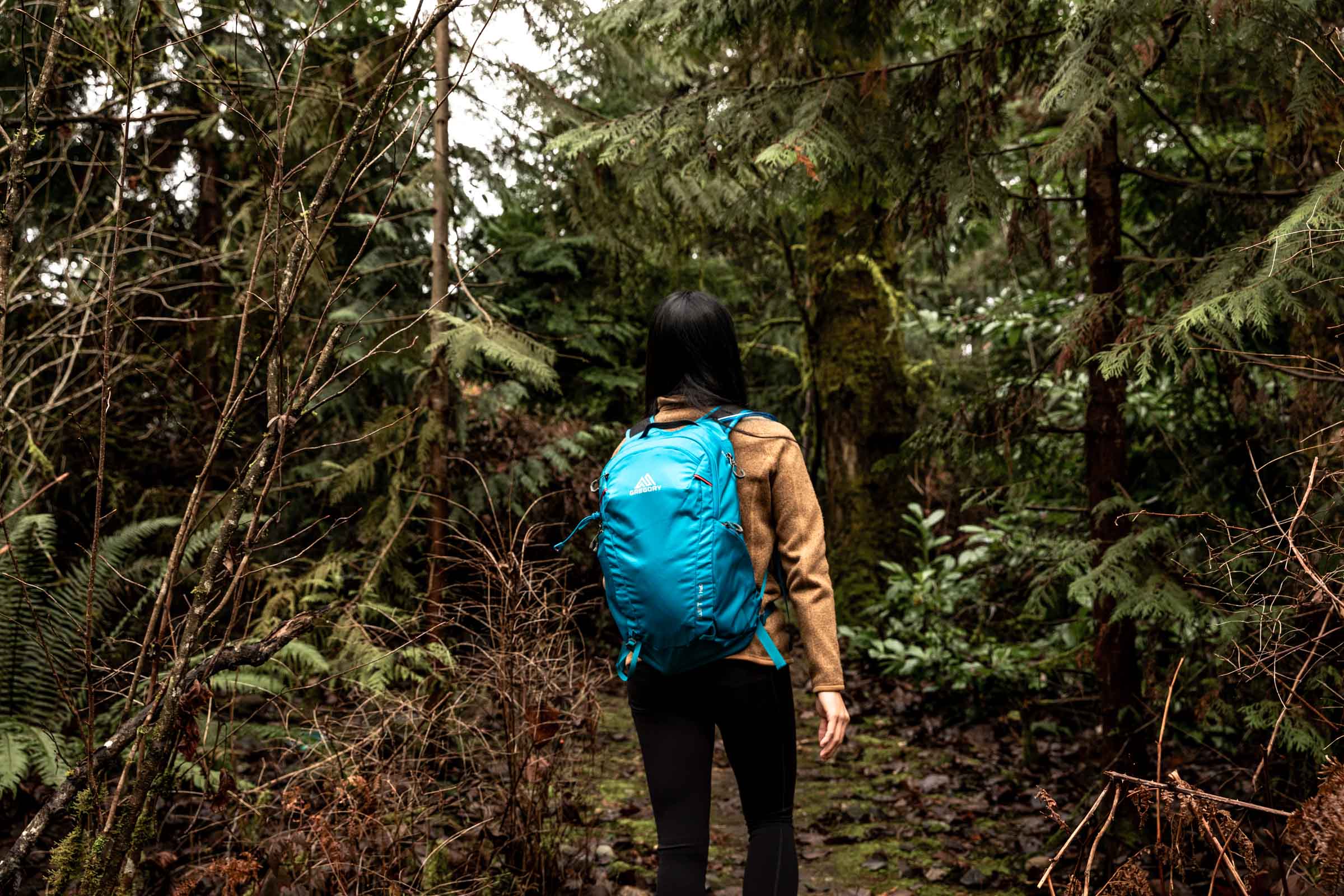 Details of Gregory Swift 16 H2O - a person walking in the forest wearing the pack 